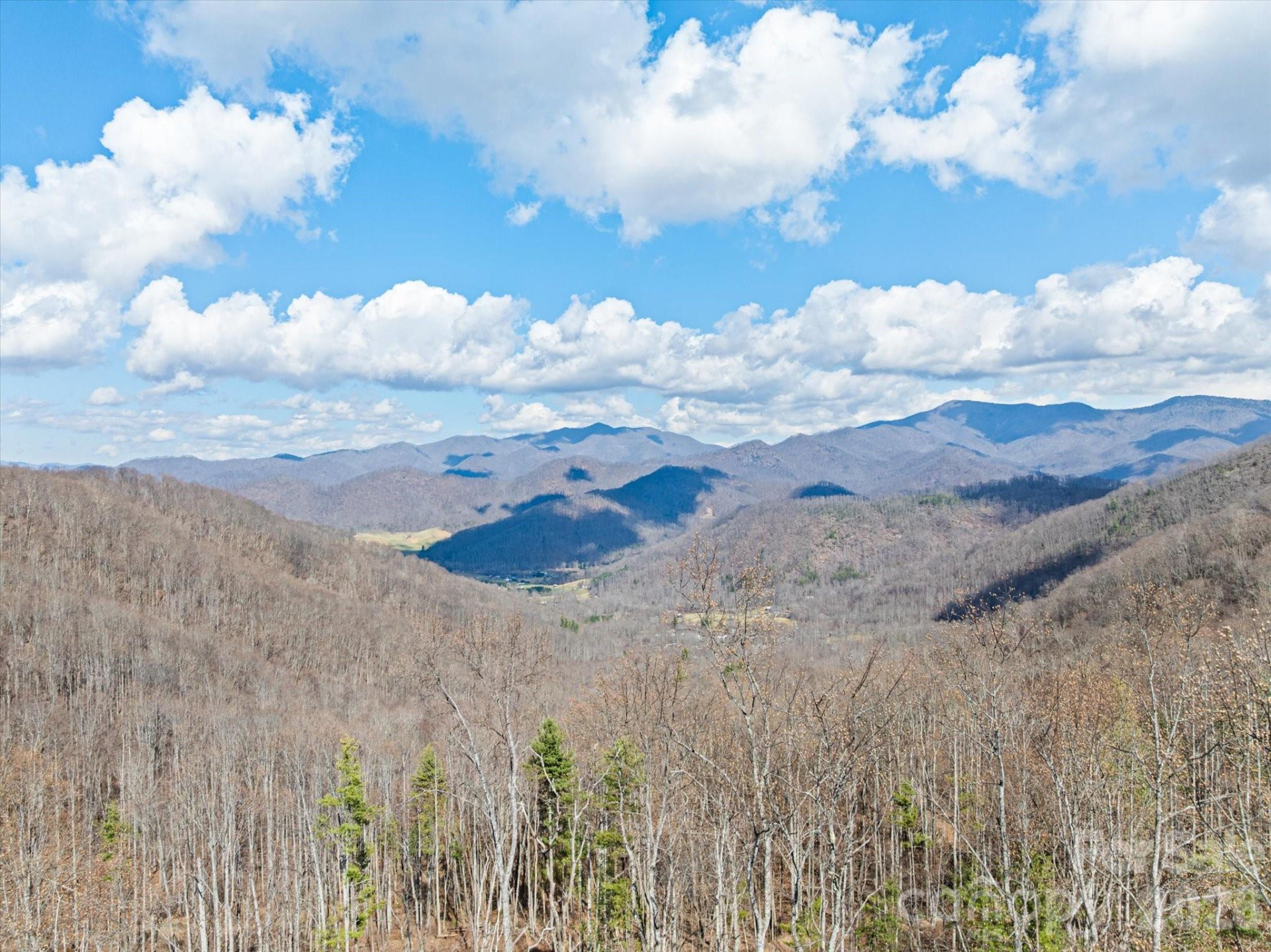 140 Wild Mountain Lane - Photo 5