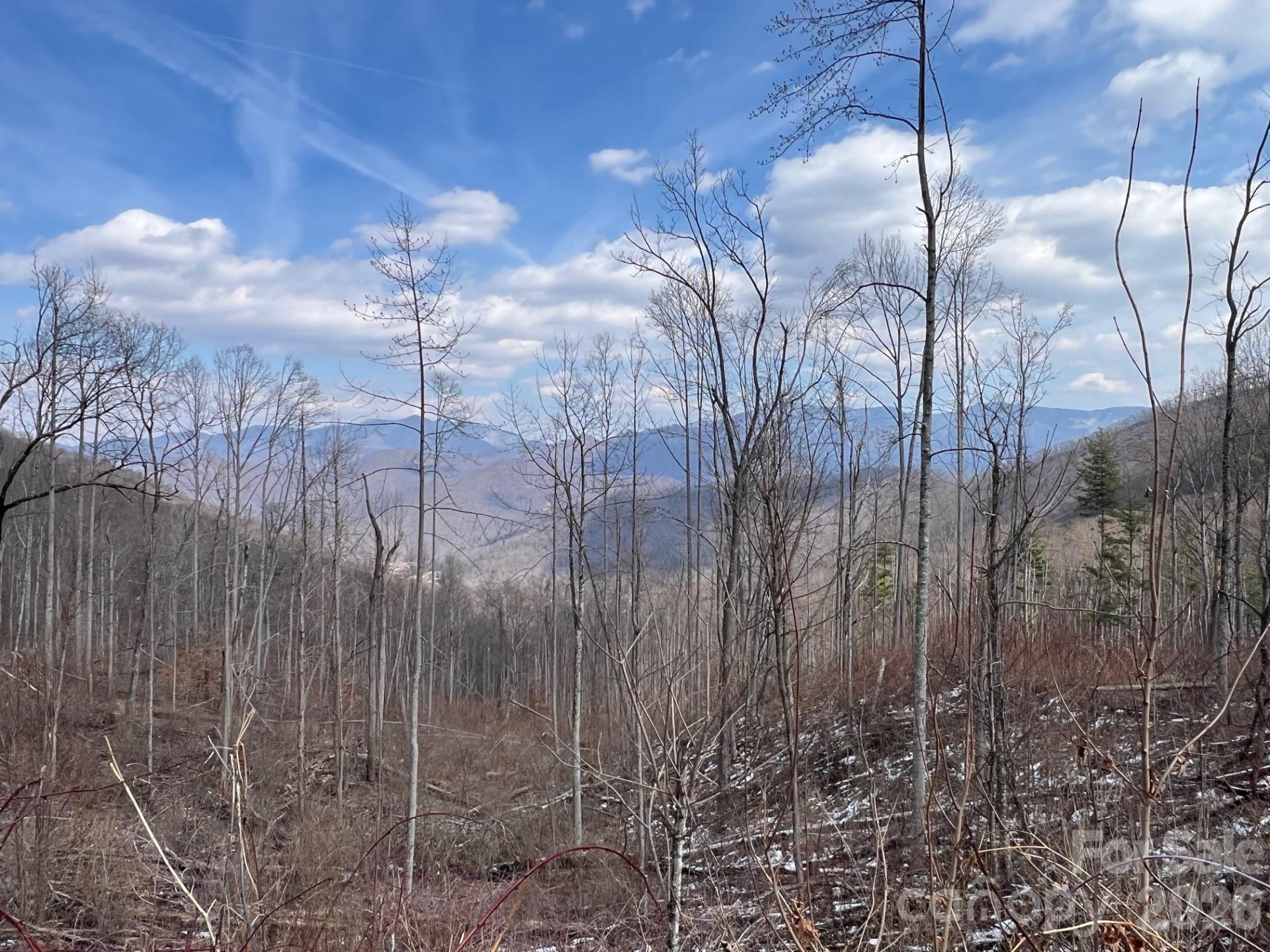 140 Wild Mountain Lane - Photo 6