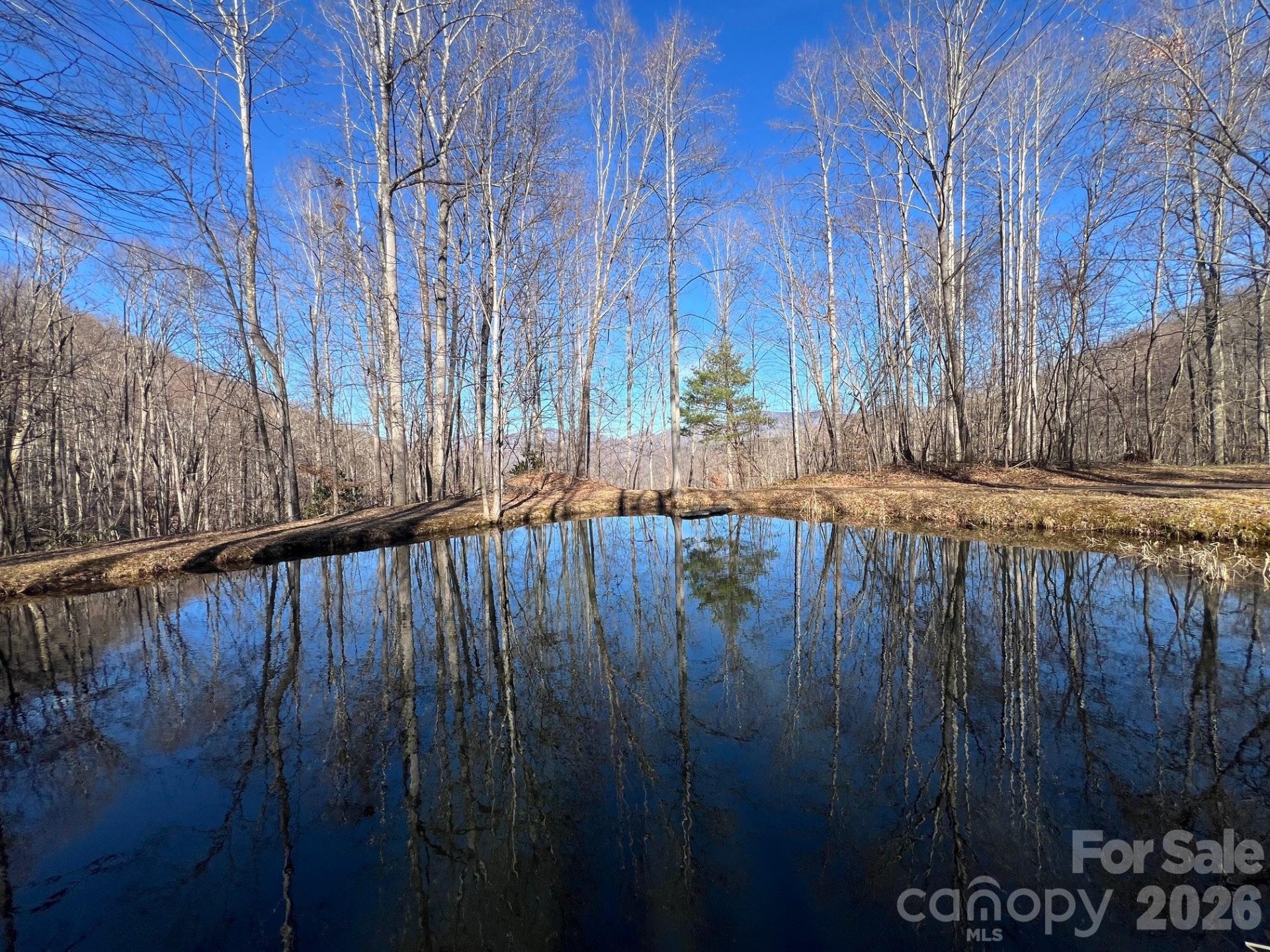 140 Wild Mountain Lane - Photo 8