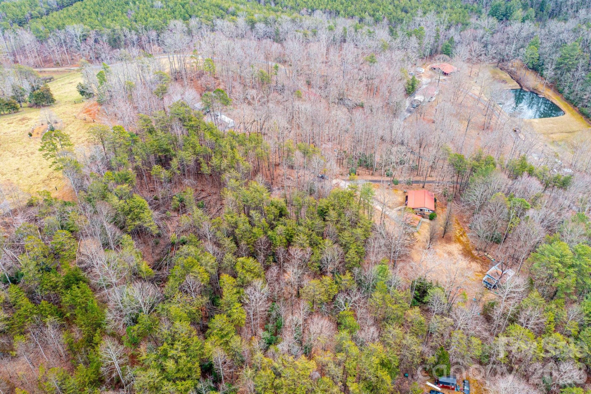 173 Croom Hollow Drive - Photo 14