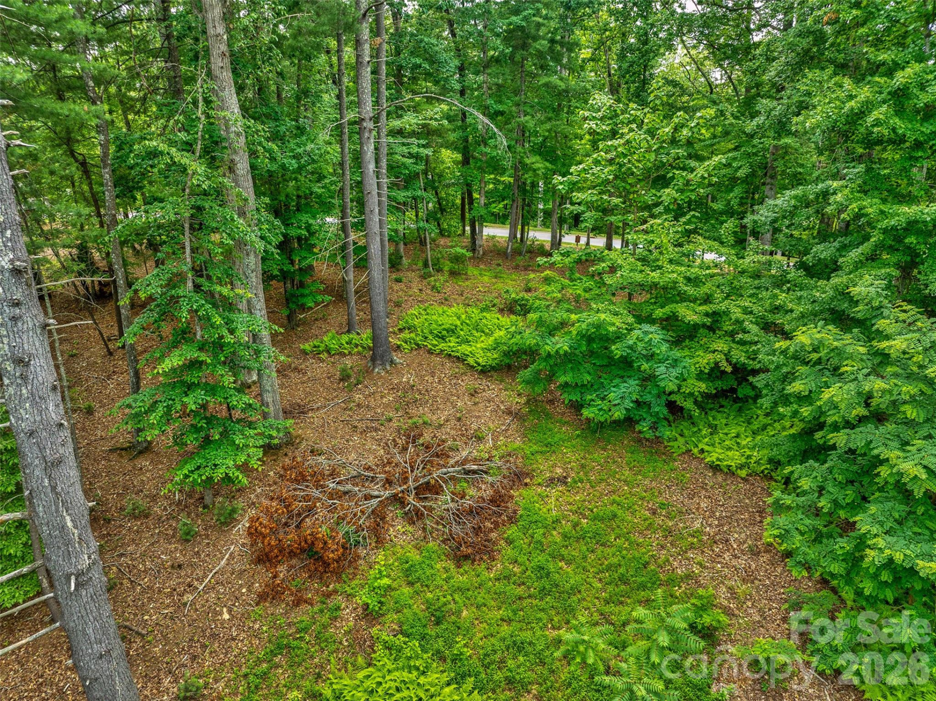 17 Hendrickson Court - Photo 11