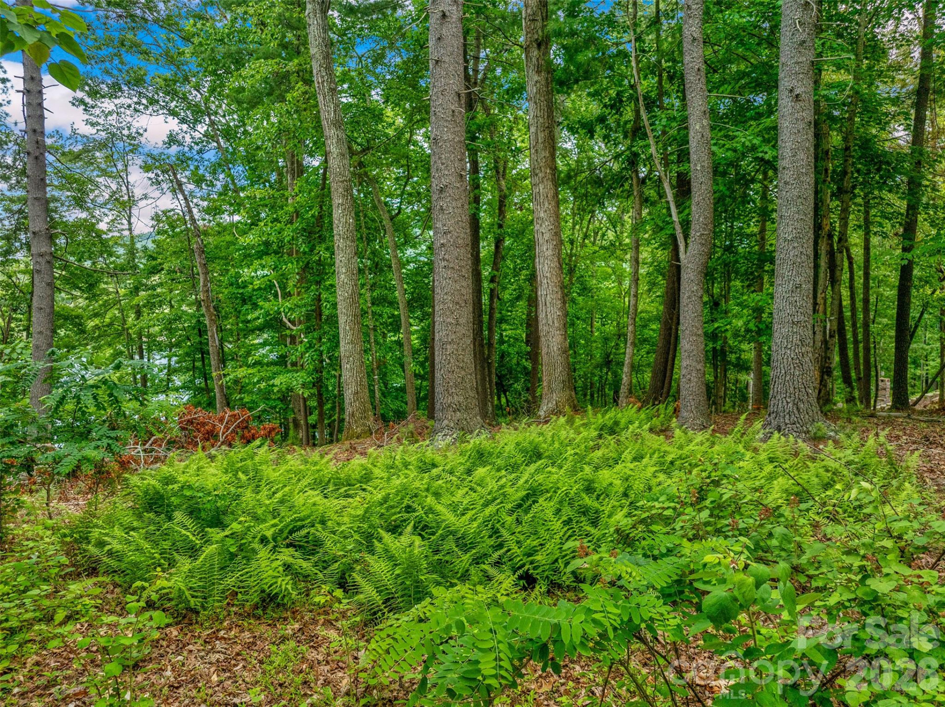 17 Hendrickson Court - Photo 12