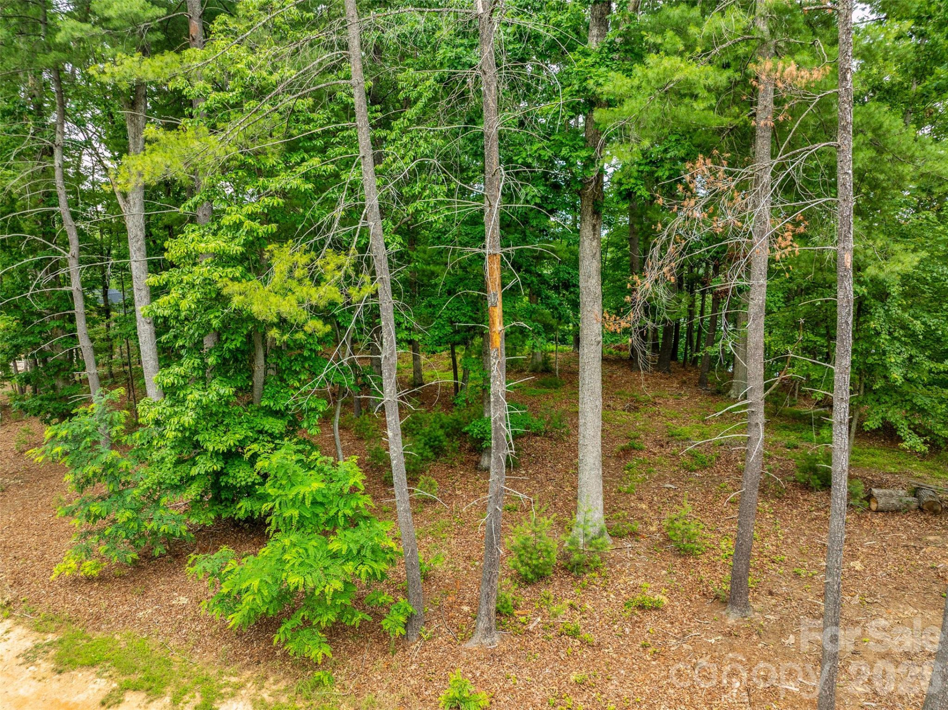 17 Hendrickson Court - Photo 13