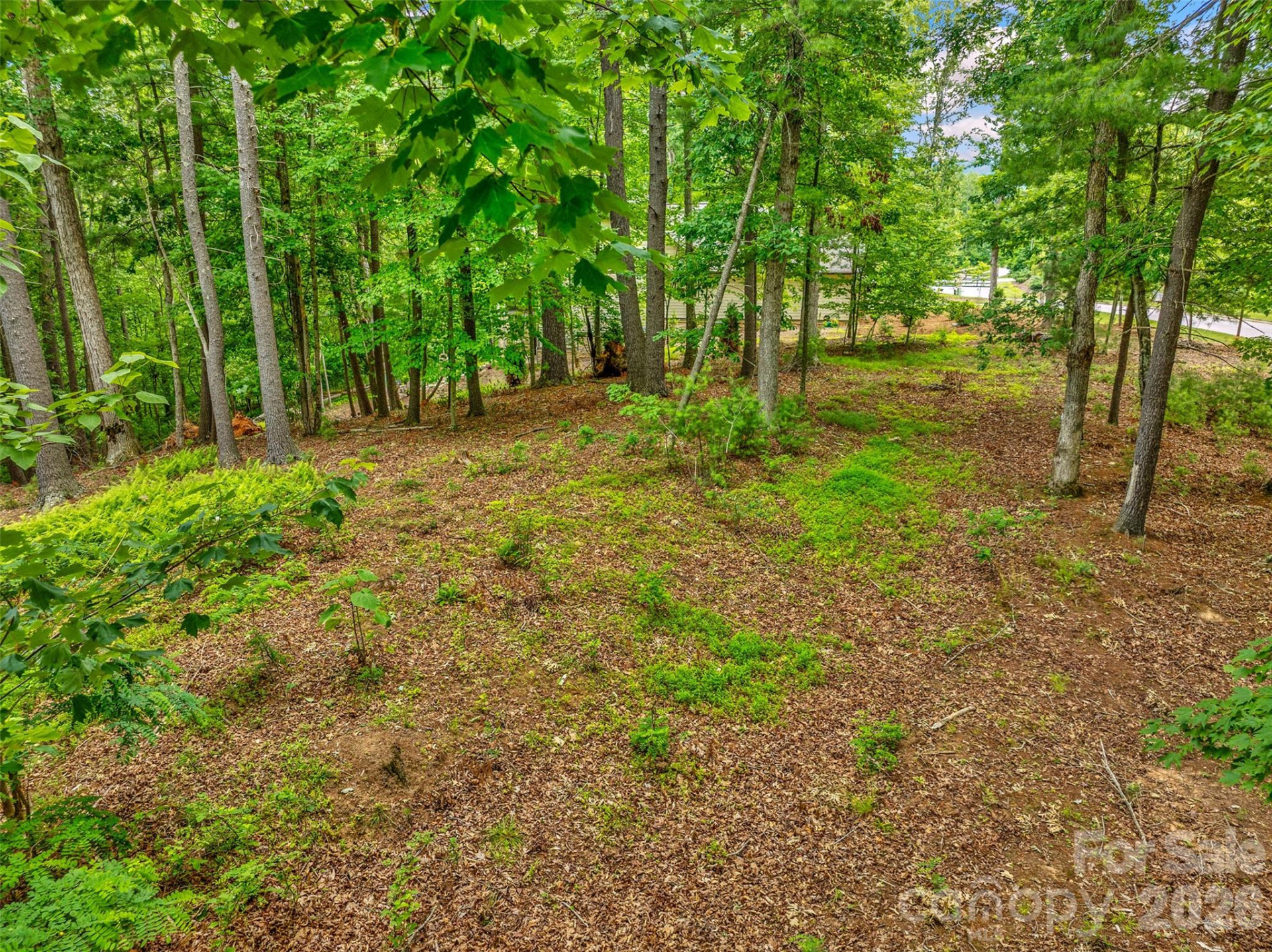 17 Hendrickson Court - Photo 14