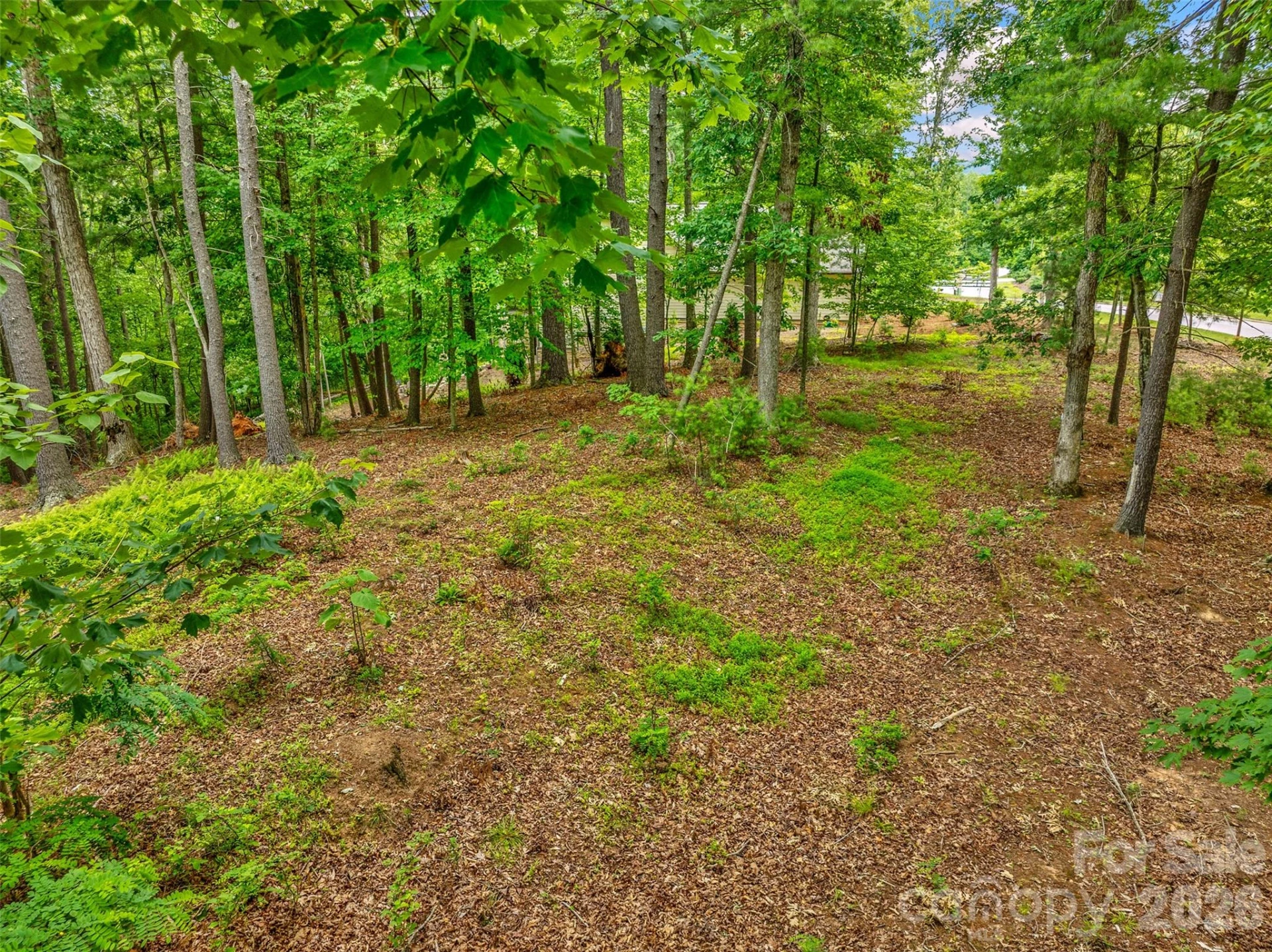 17 Hendrickson Court - Photo 14