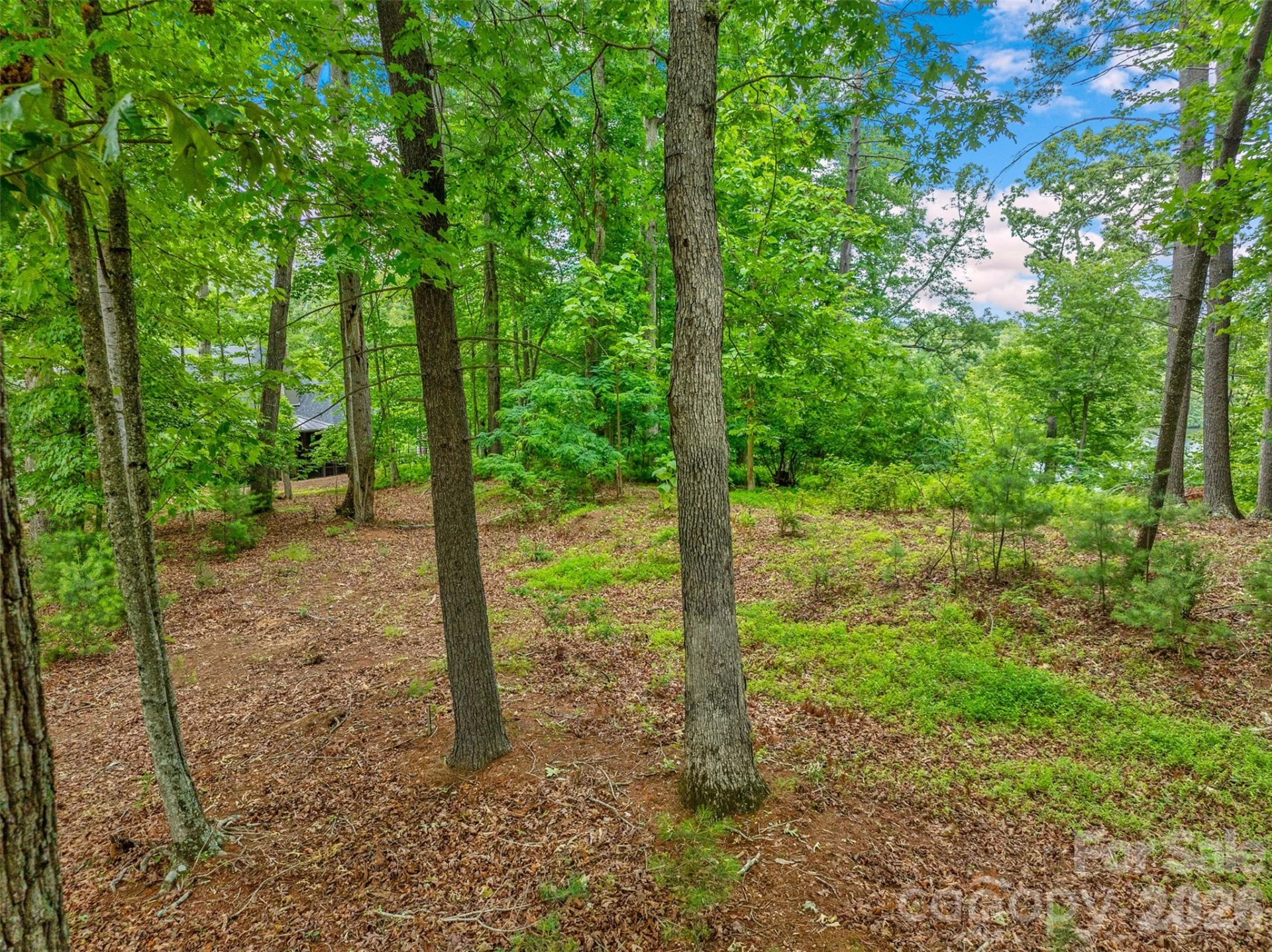 17 Hendrickson Court - Photo 5