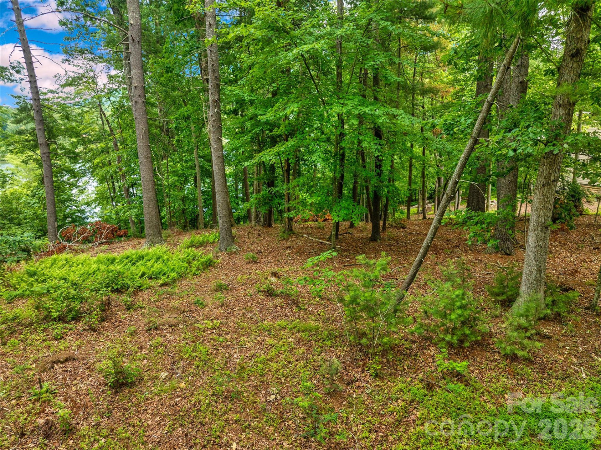 17 Hendrickson Court - Photo 8