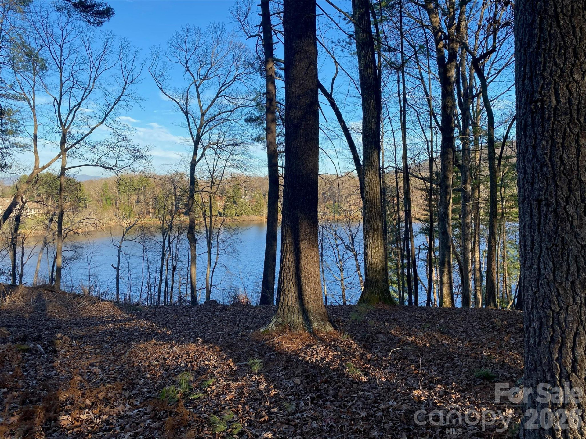 17 Hendrickson Court - Photo 9