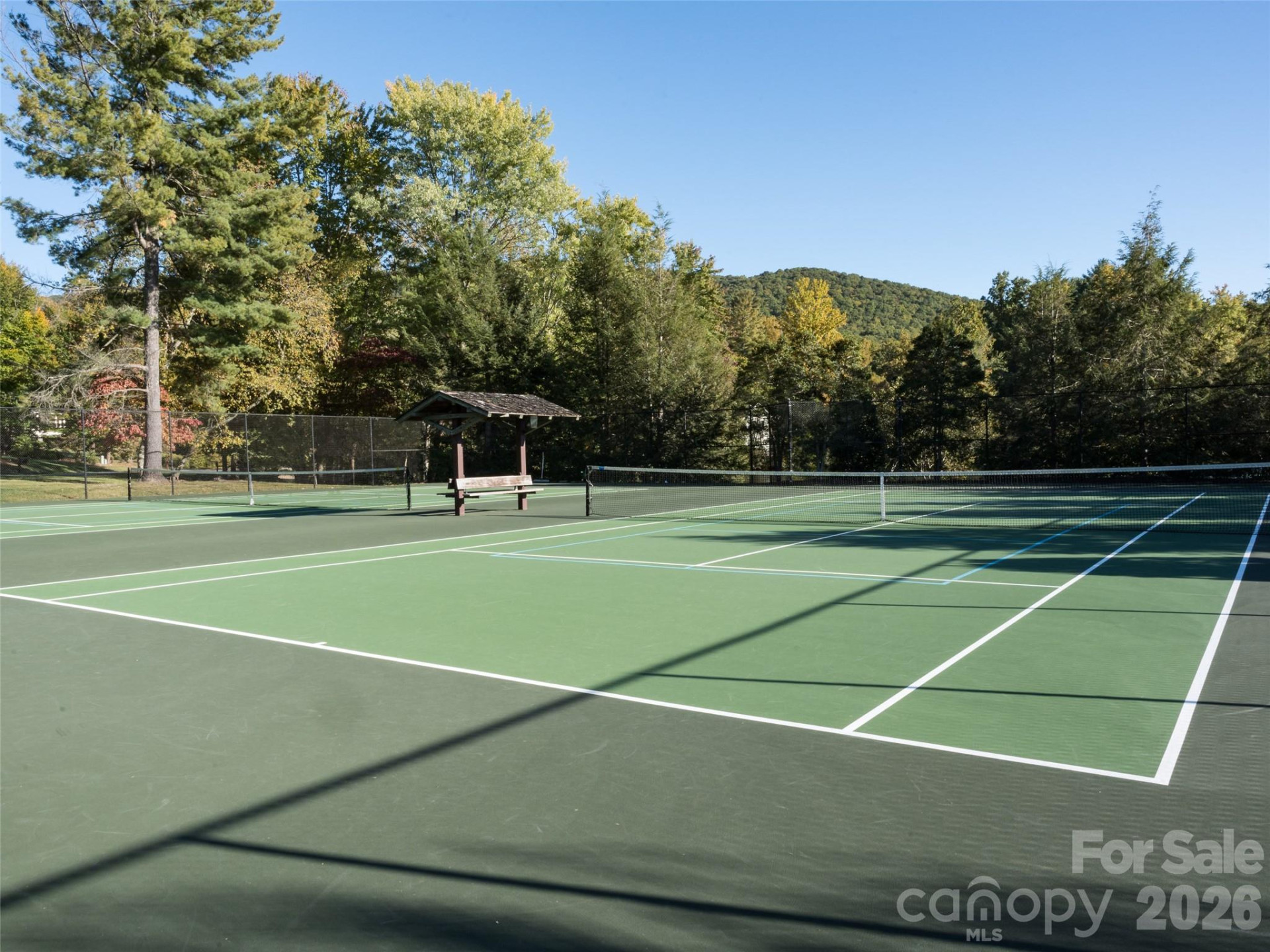 115 Ginger Quill Circle - Photo 44