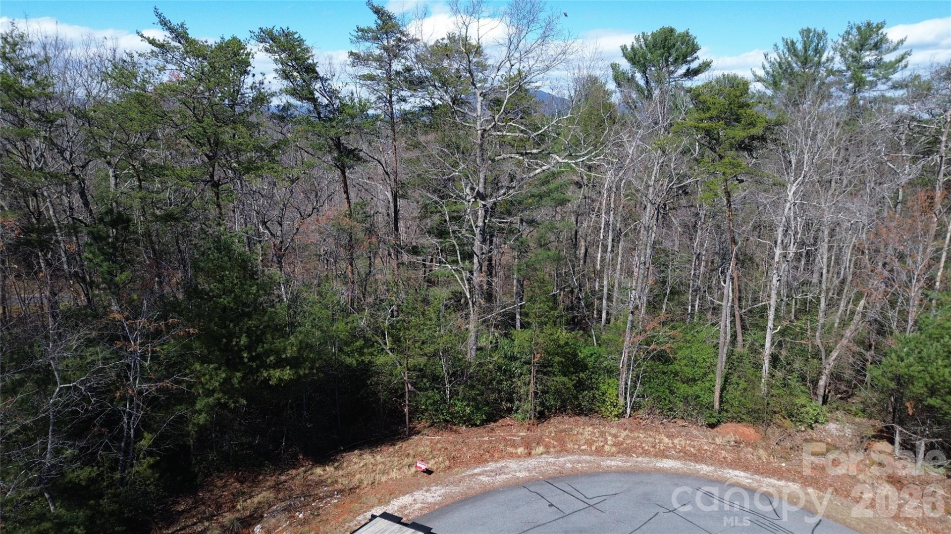 91 West Lake Road #91 - Photo 4