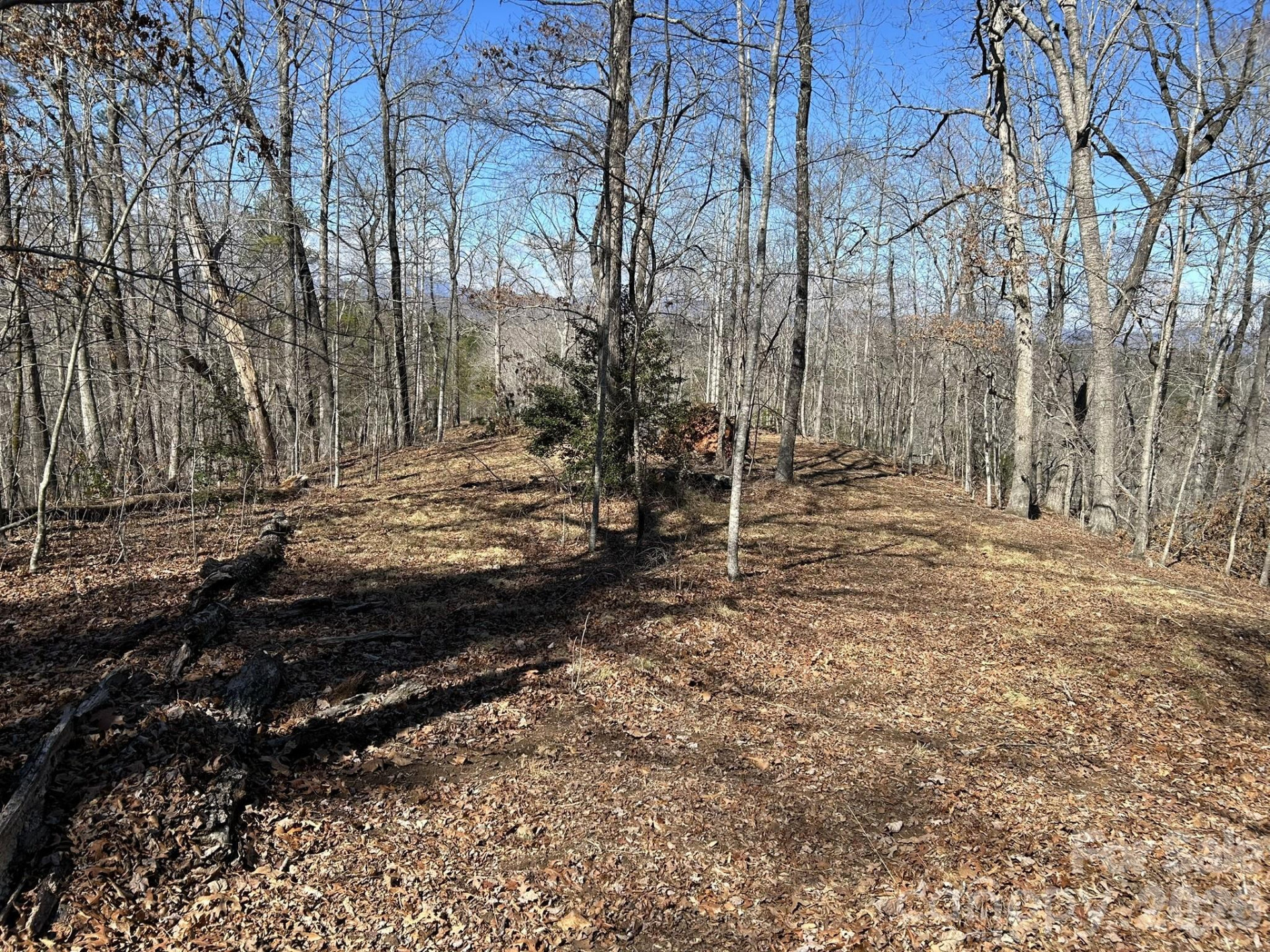 00 Millcreek Way - Photo 11