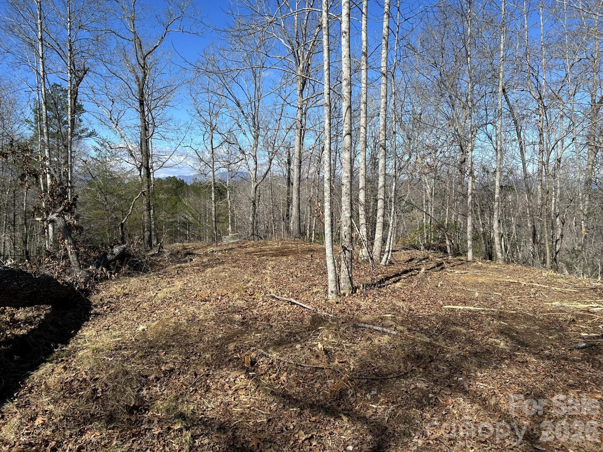00 Millcreek Way - Photo 12