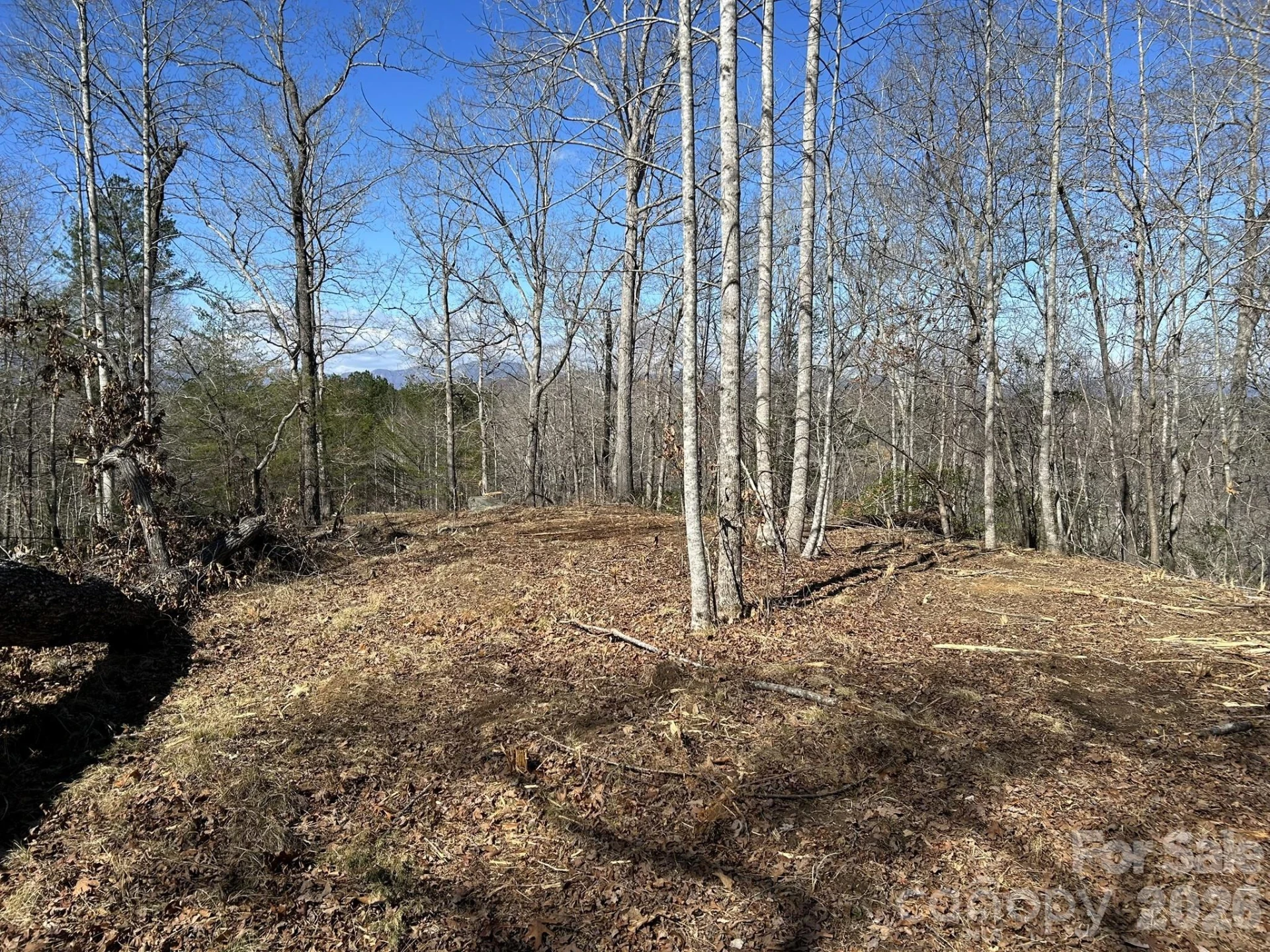 00 Millcreek Way - Photo 12