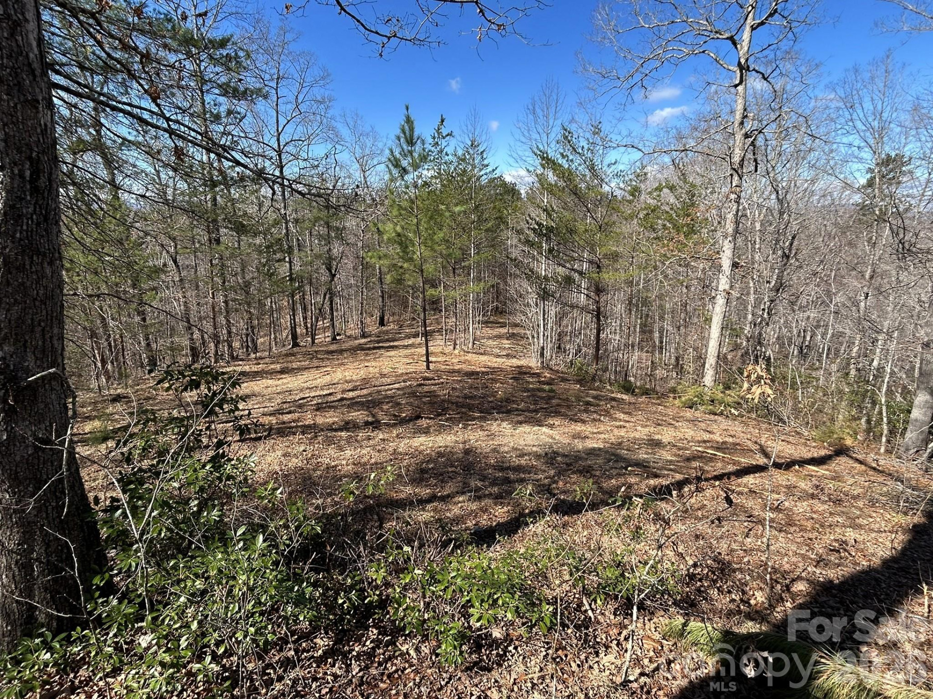 00 Millcreek Way - Photo 14