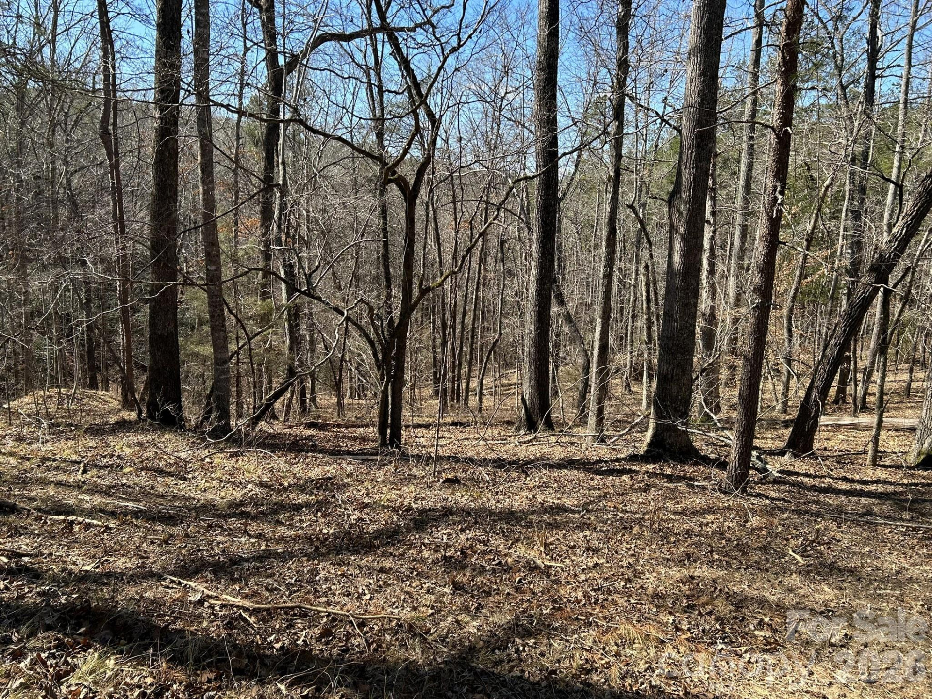 00 Millcreek Way - Photo 20