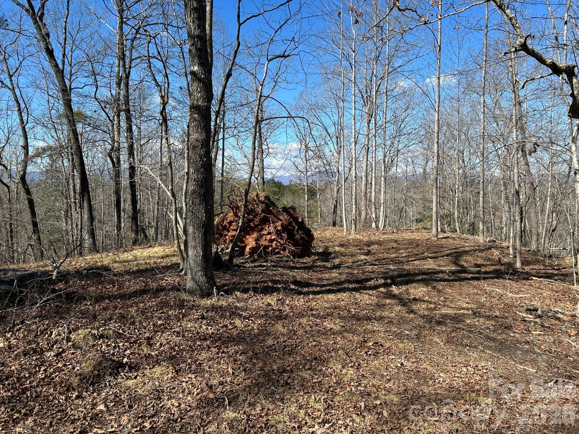 00 Millcreek Way - Photo 23