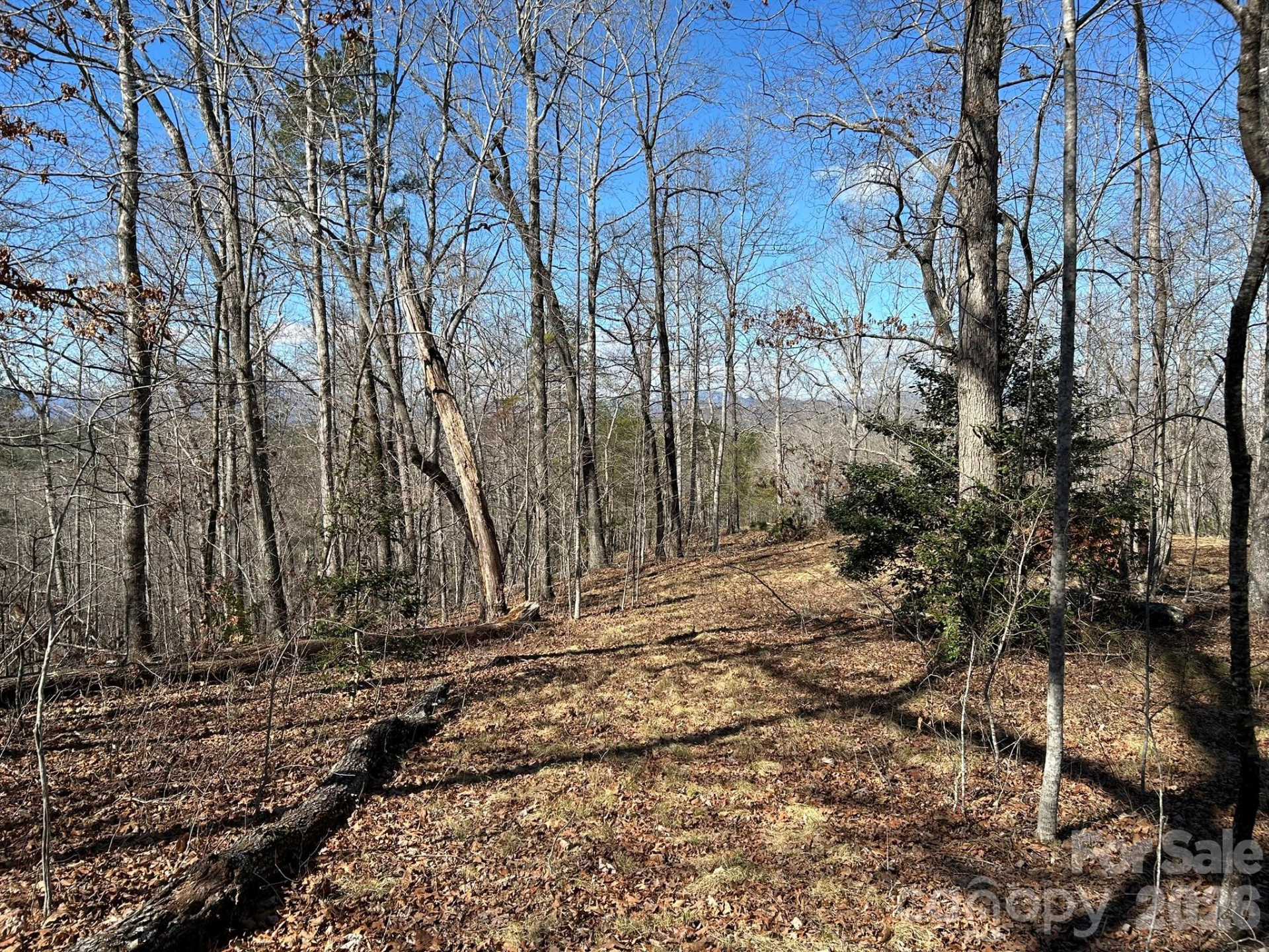 00 Millcreek Way - Photo 28