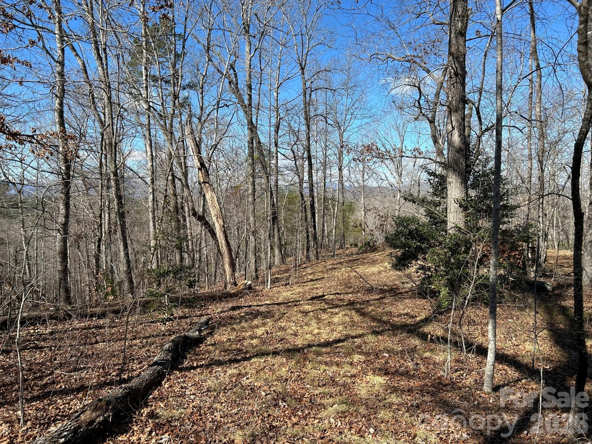 00 Millcreek Way - Photo 28