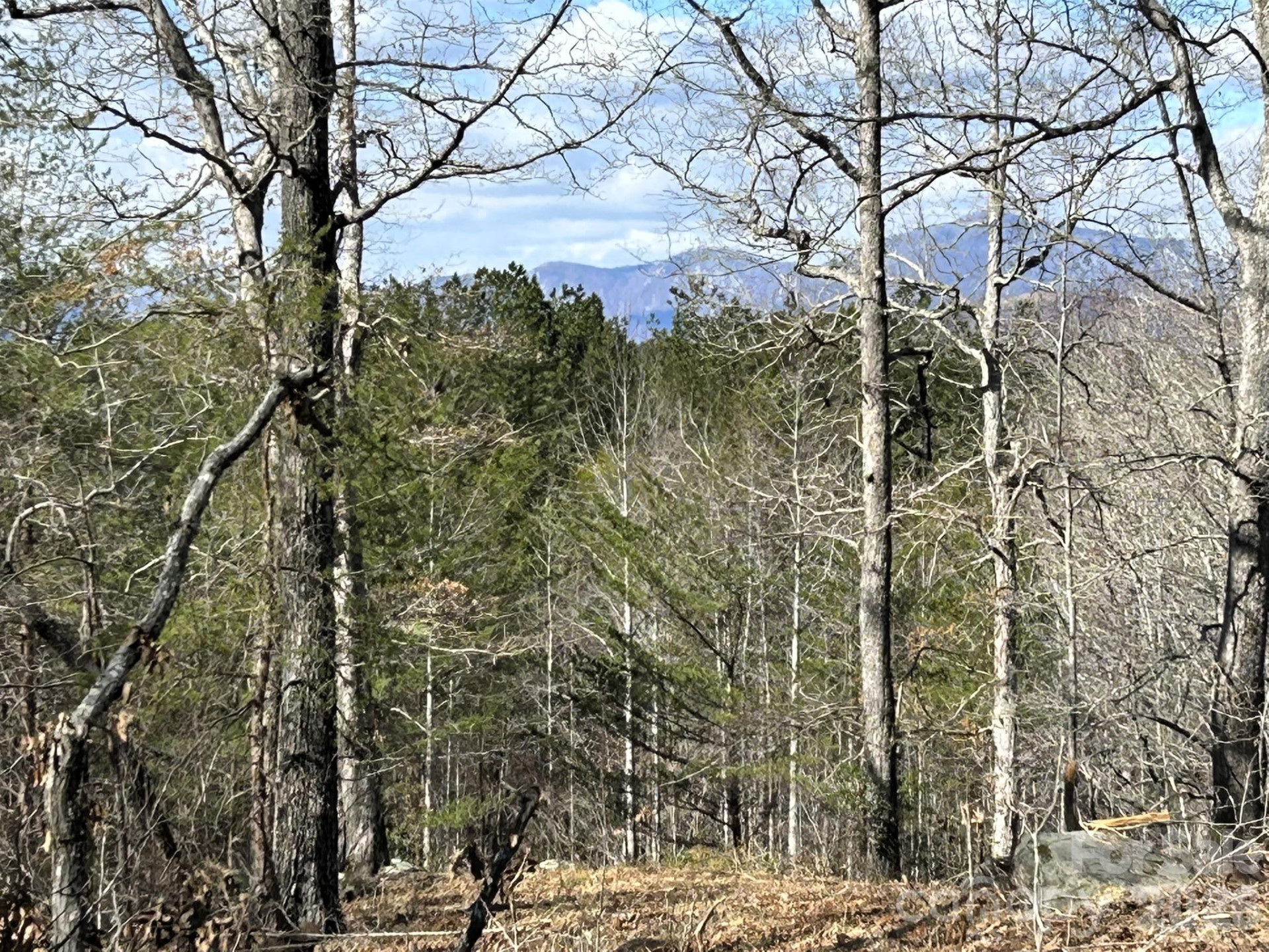 00 Millcreek Way - Photo 4