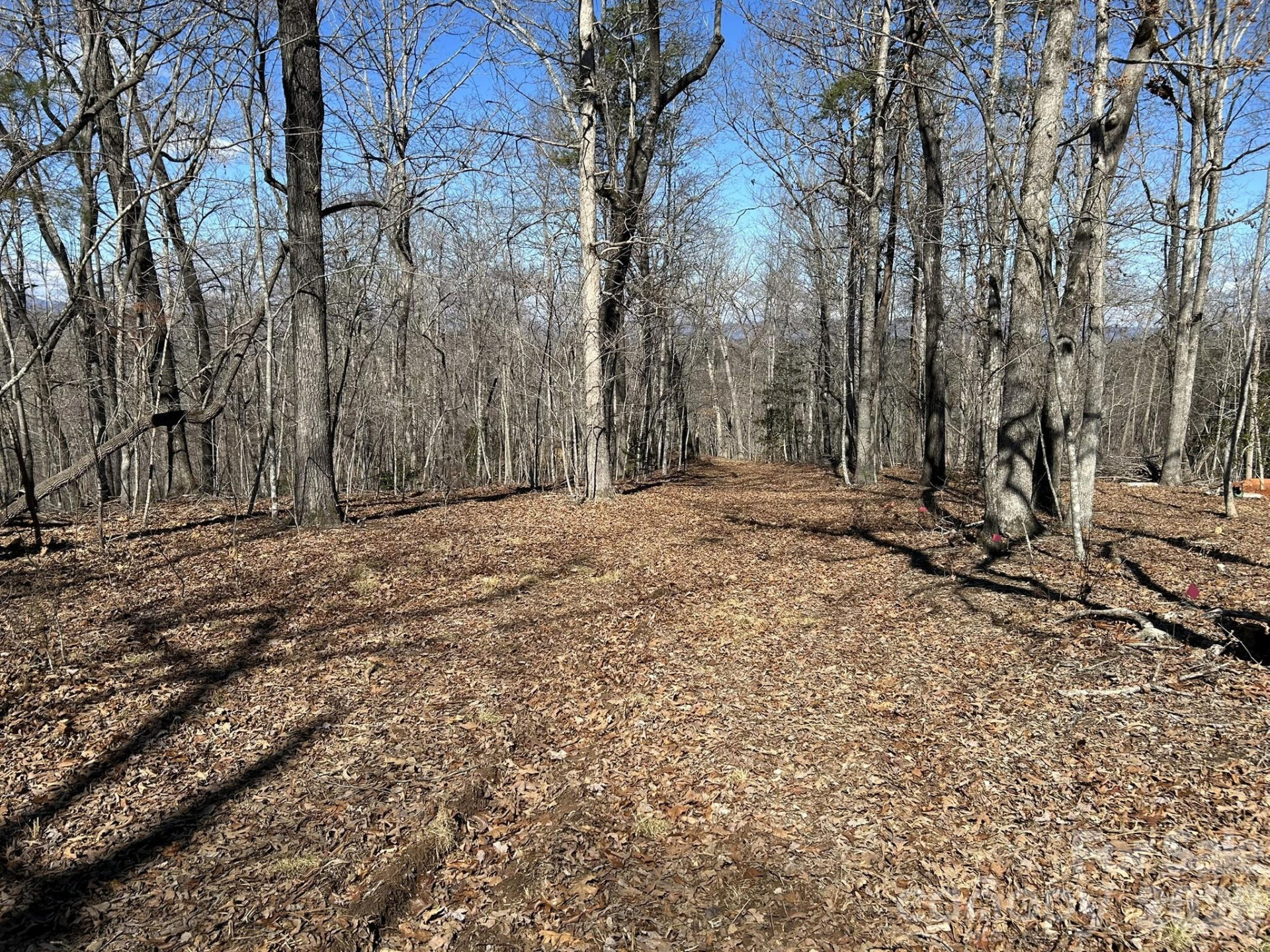 00 Millcreek Way - Photo 6