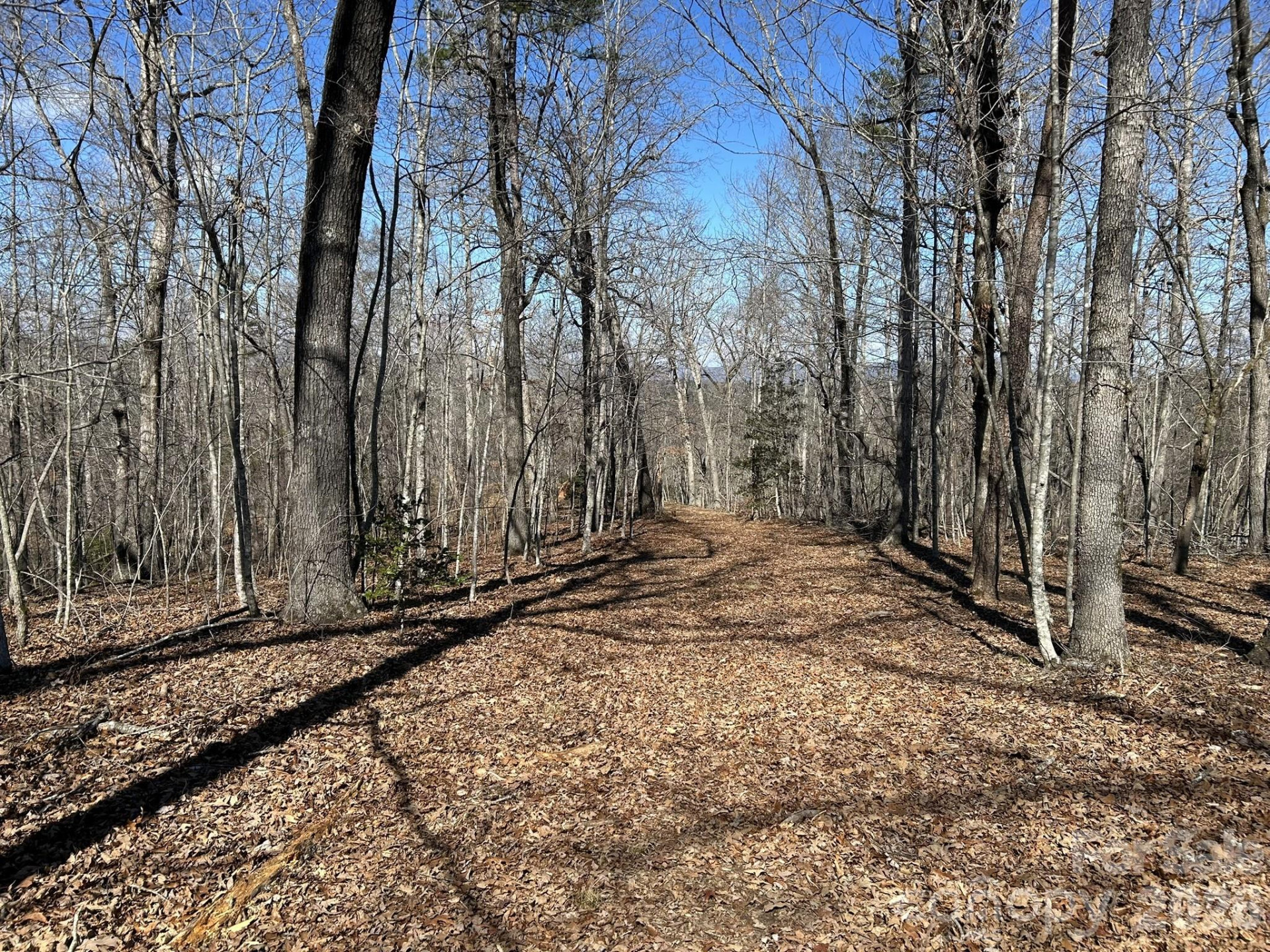 00 Millcreek Way - Photo 7