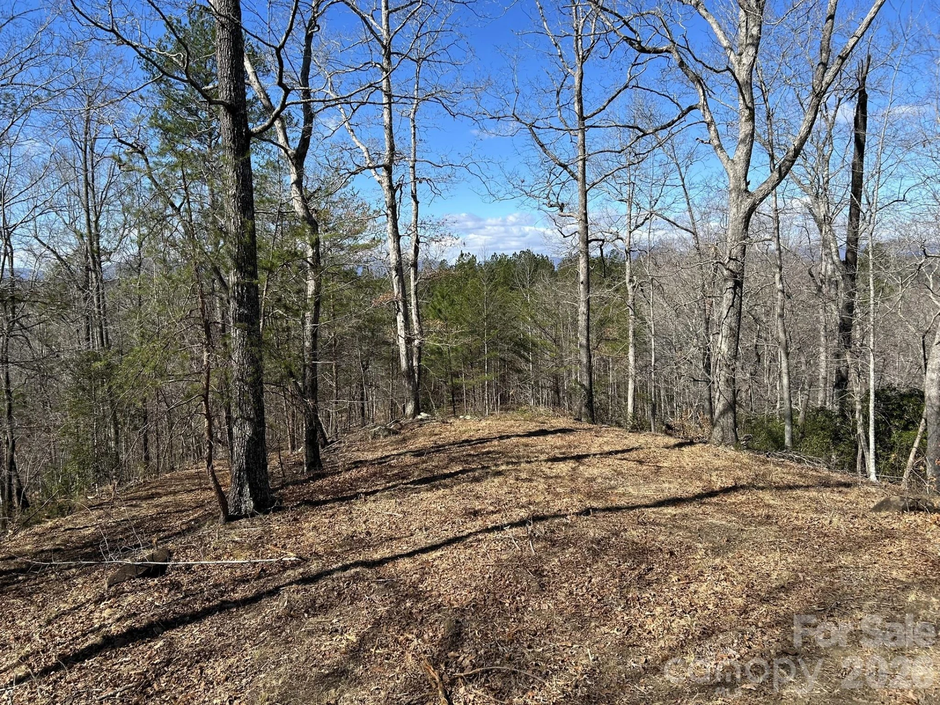 00 Millcreek Way - Photo 10