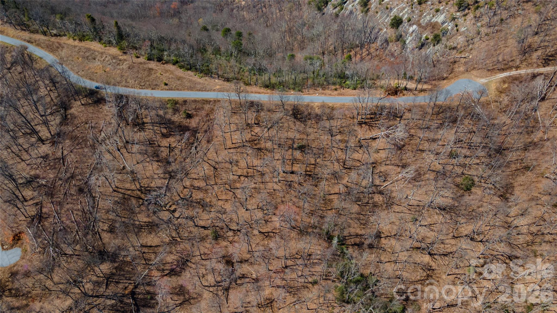 000 Devin Ridge Lane #99 - Photo 2