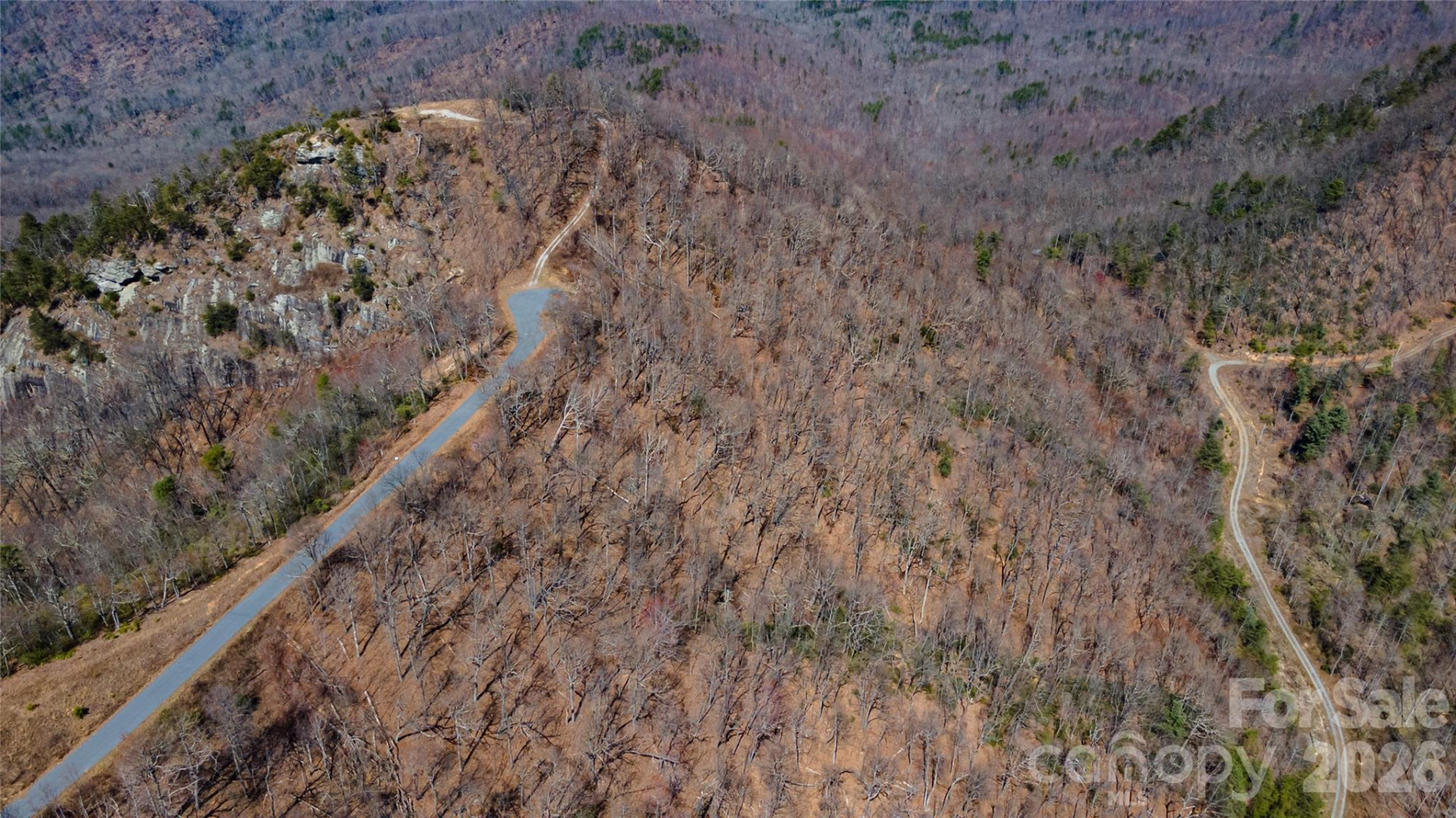 000 Devin Ridge Lane #99 - Photo 3