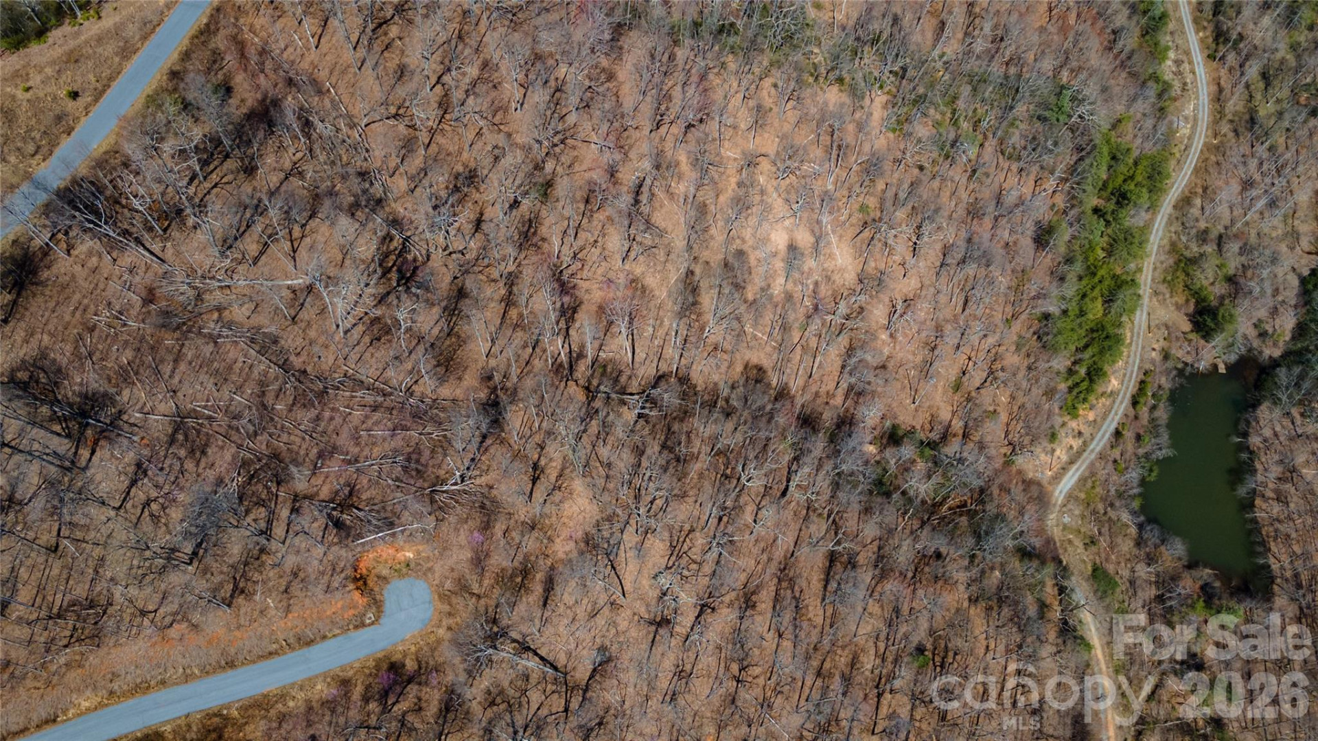 000 Devin Ridge Lane #99 - Photo 4