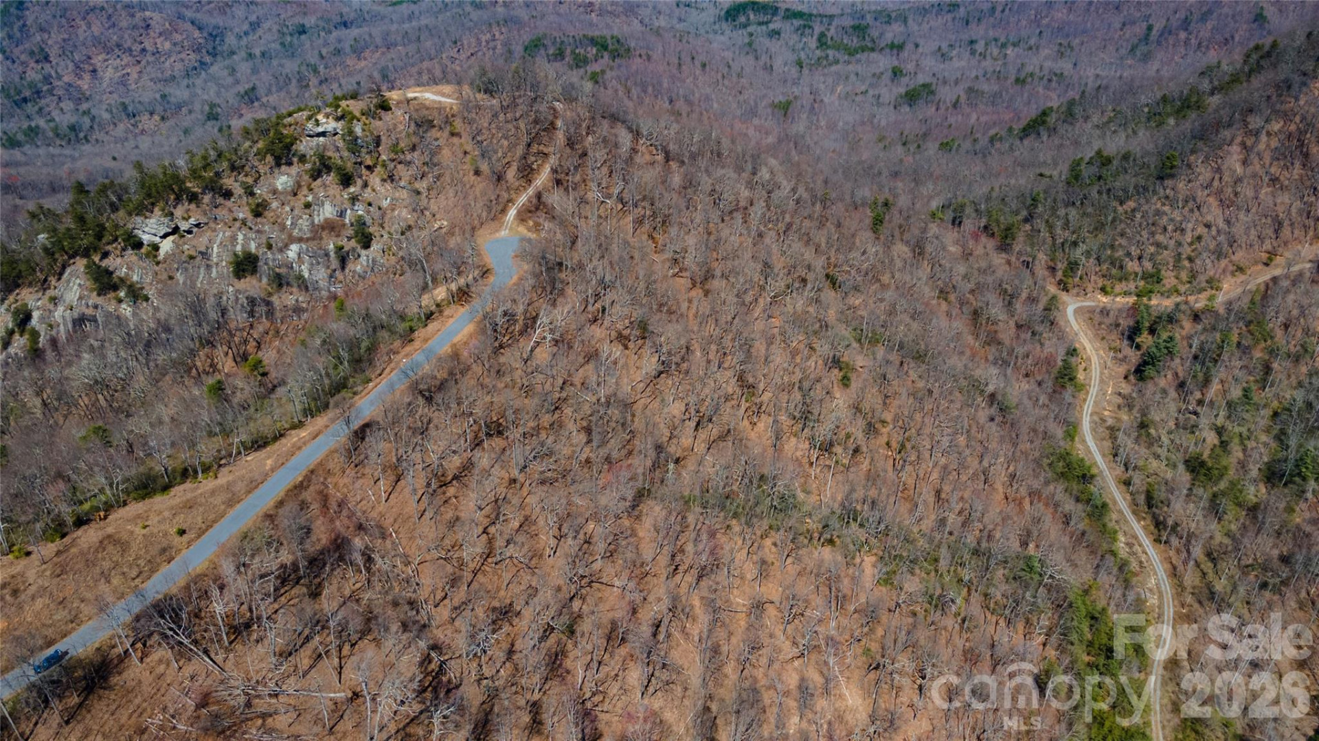 000 Devin Ridge Lane #99 - Photo 5