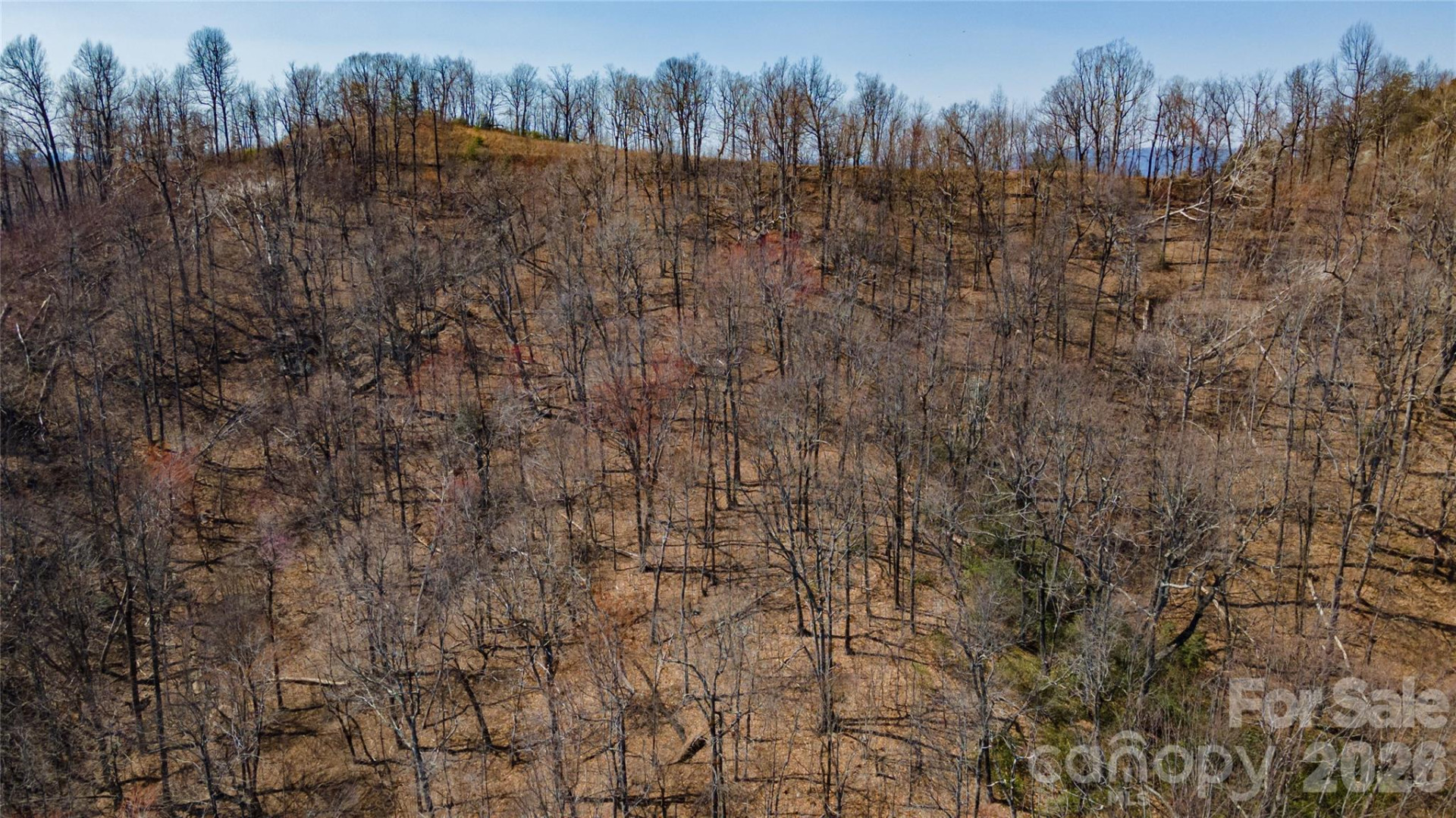 000 Devin Ridge Lane #99 - Photo 8