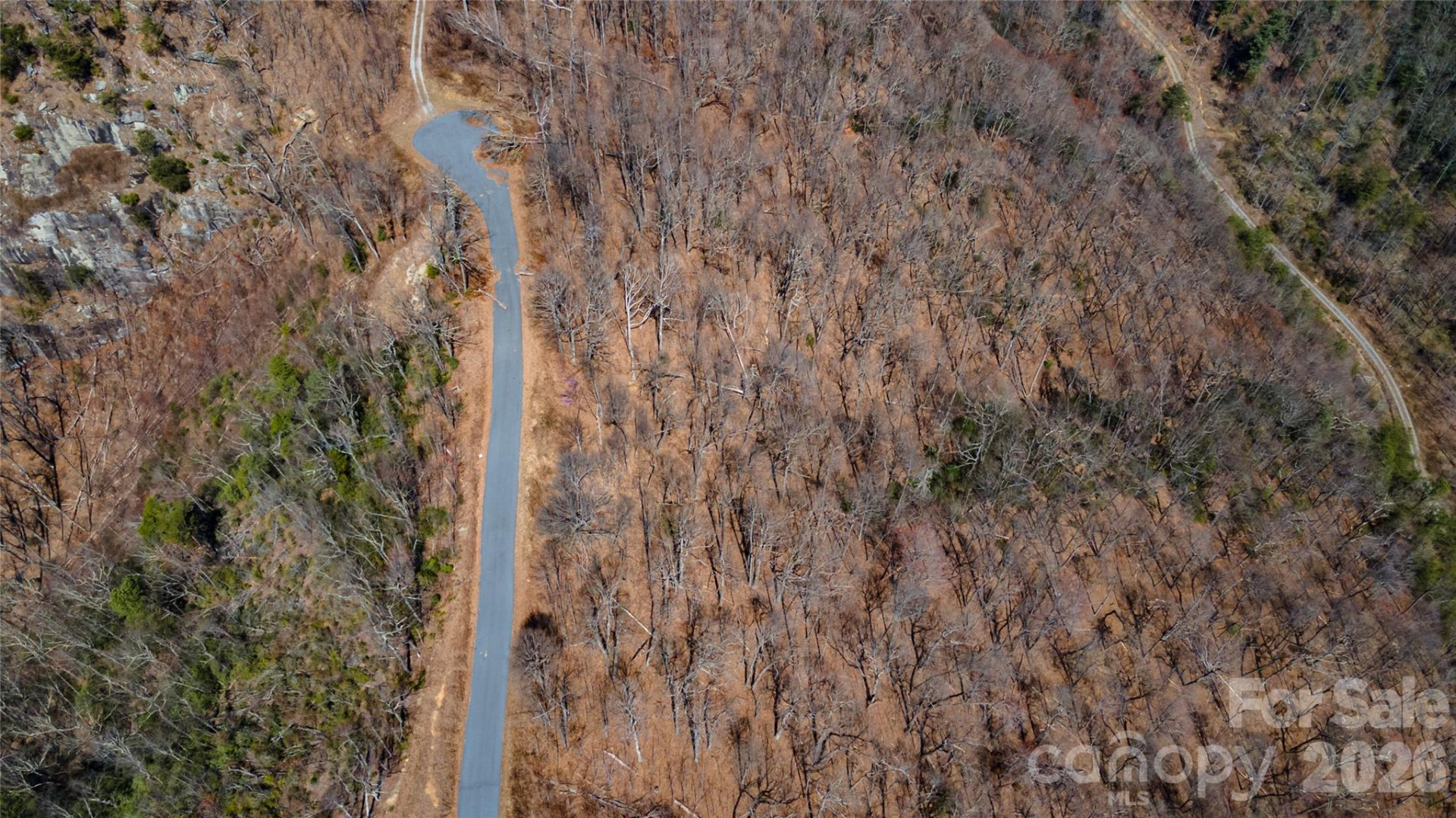 000 Devin Ridge Lane #99 - Photo 10