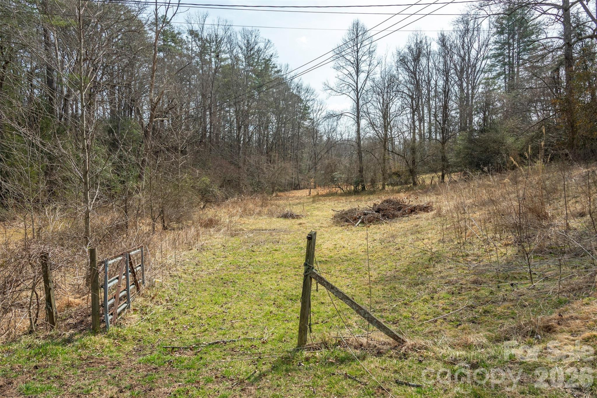 1720 Brevard Road - Photo 13