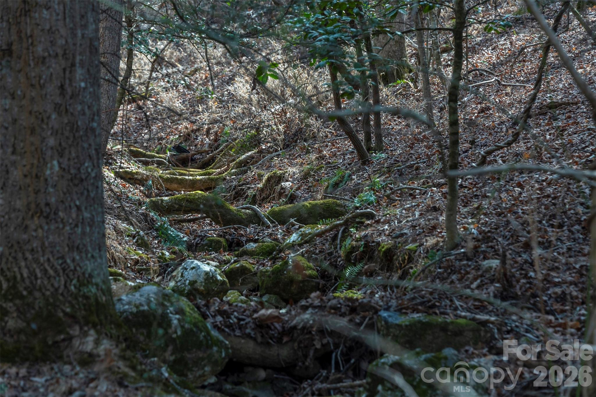 1720 Brevard Road - Photo 16