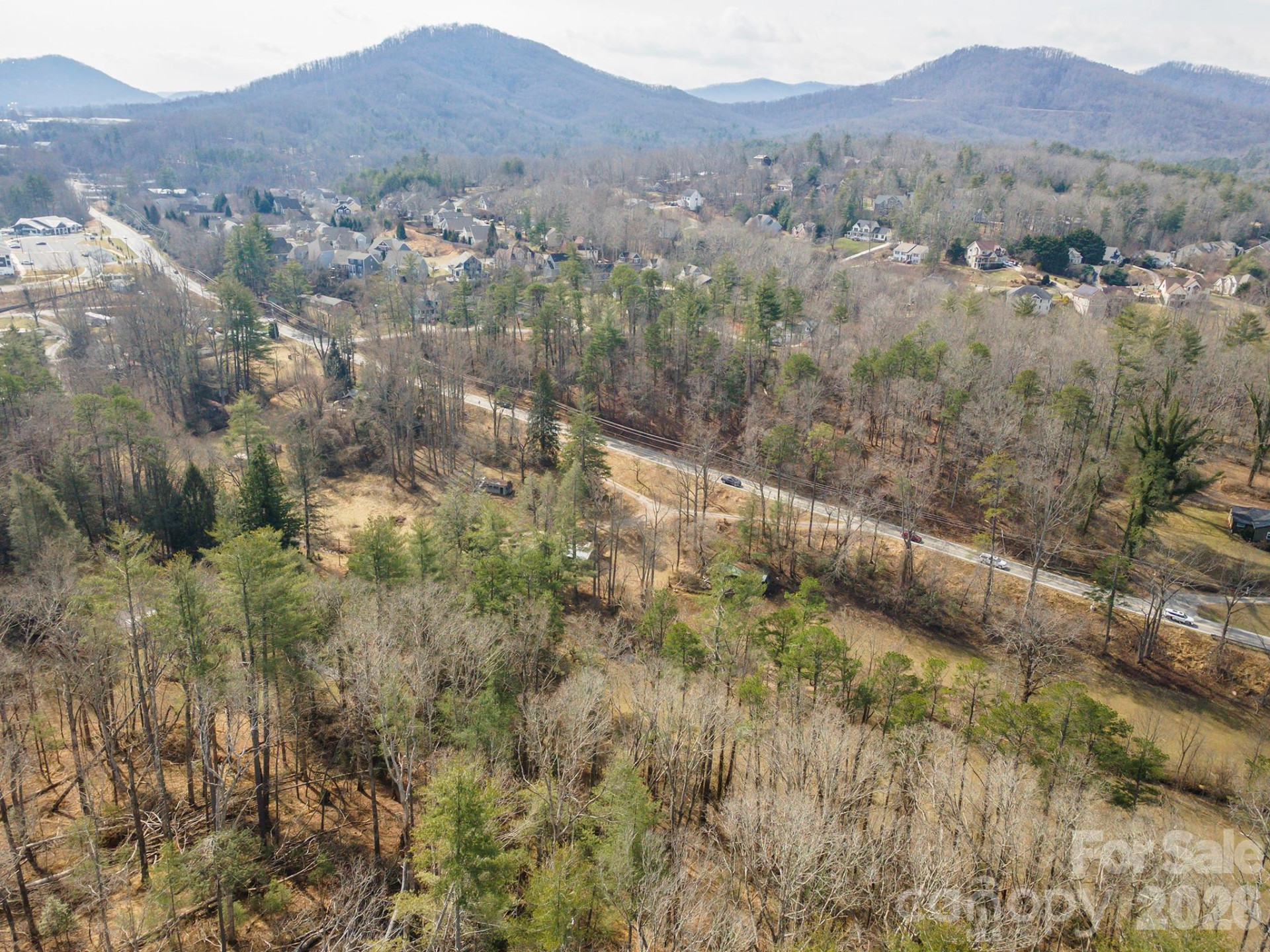 1720 Brevard Road - Photo 3