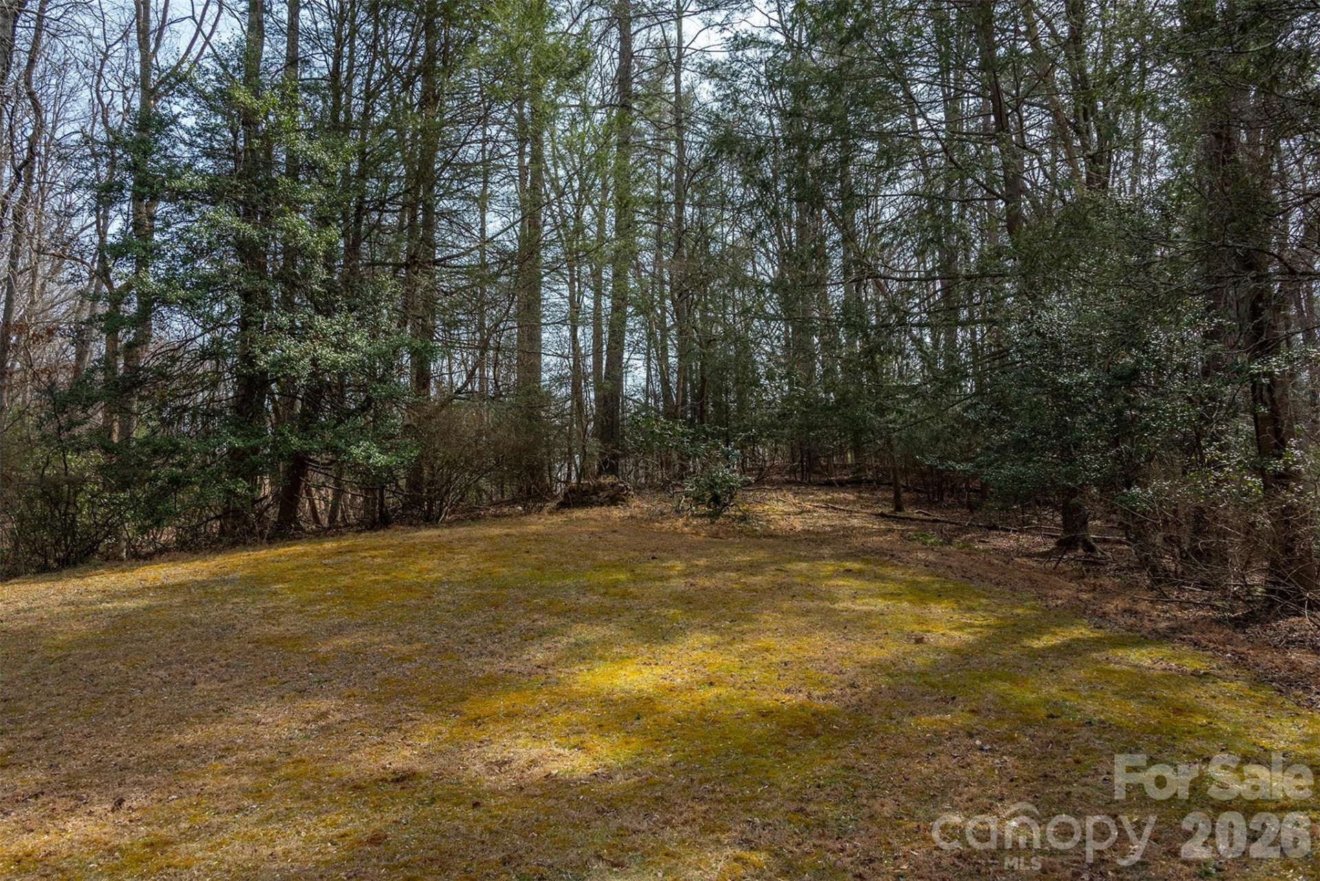 1720 Brevard Road - Photo 6