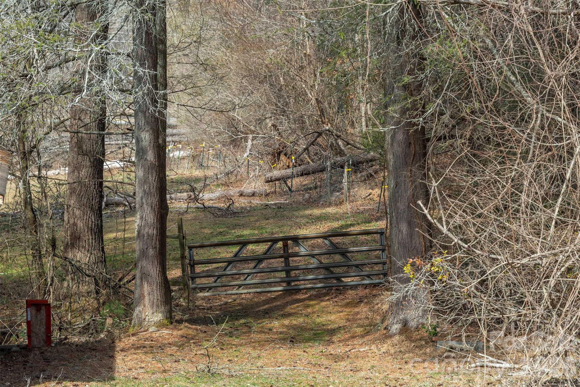 1720 Brevard Road - Photo 8