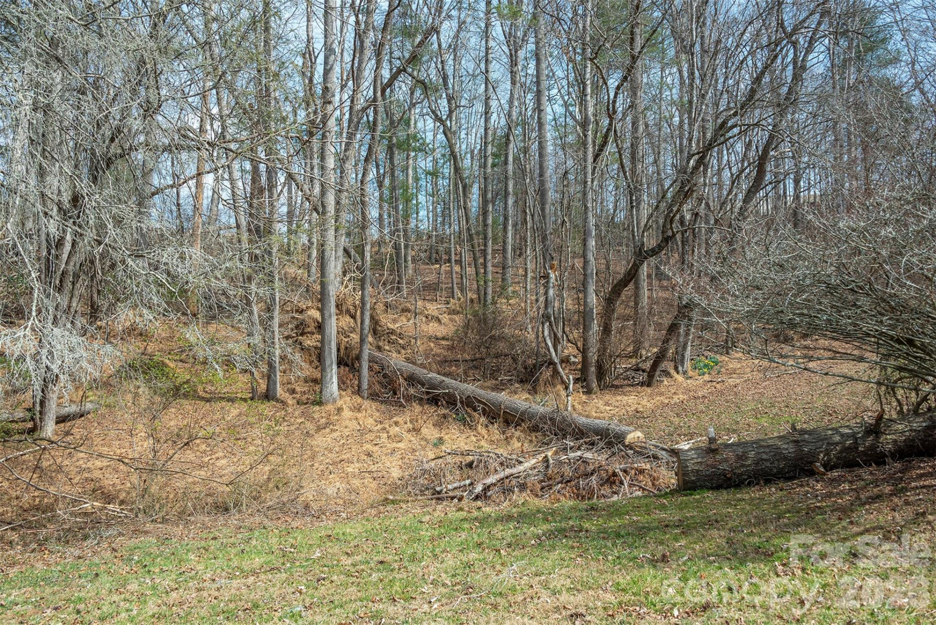 1720 Brevard Road - Photo 9