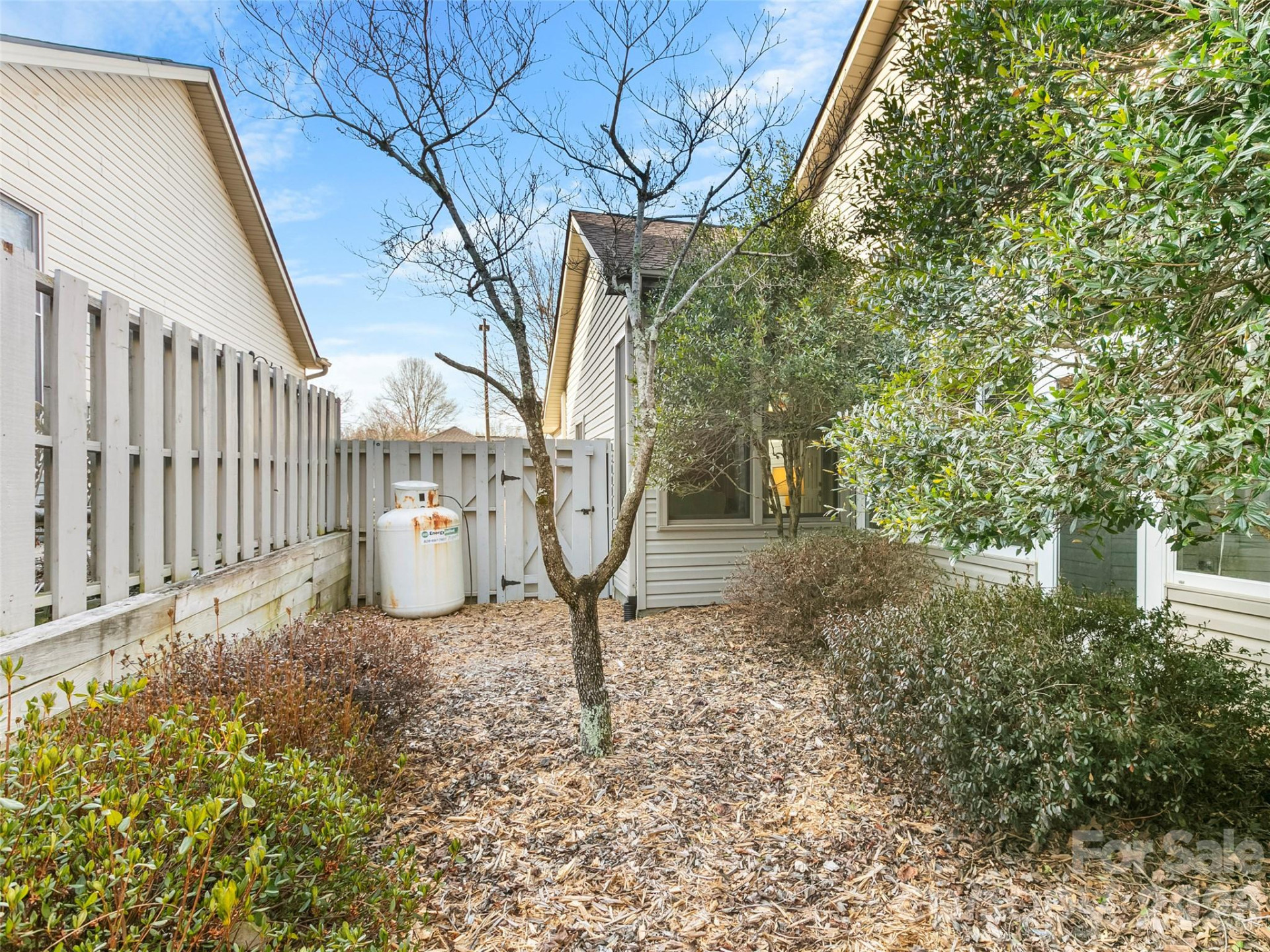 31 Tisha Lane - Photo 22