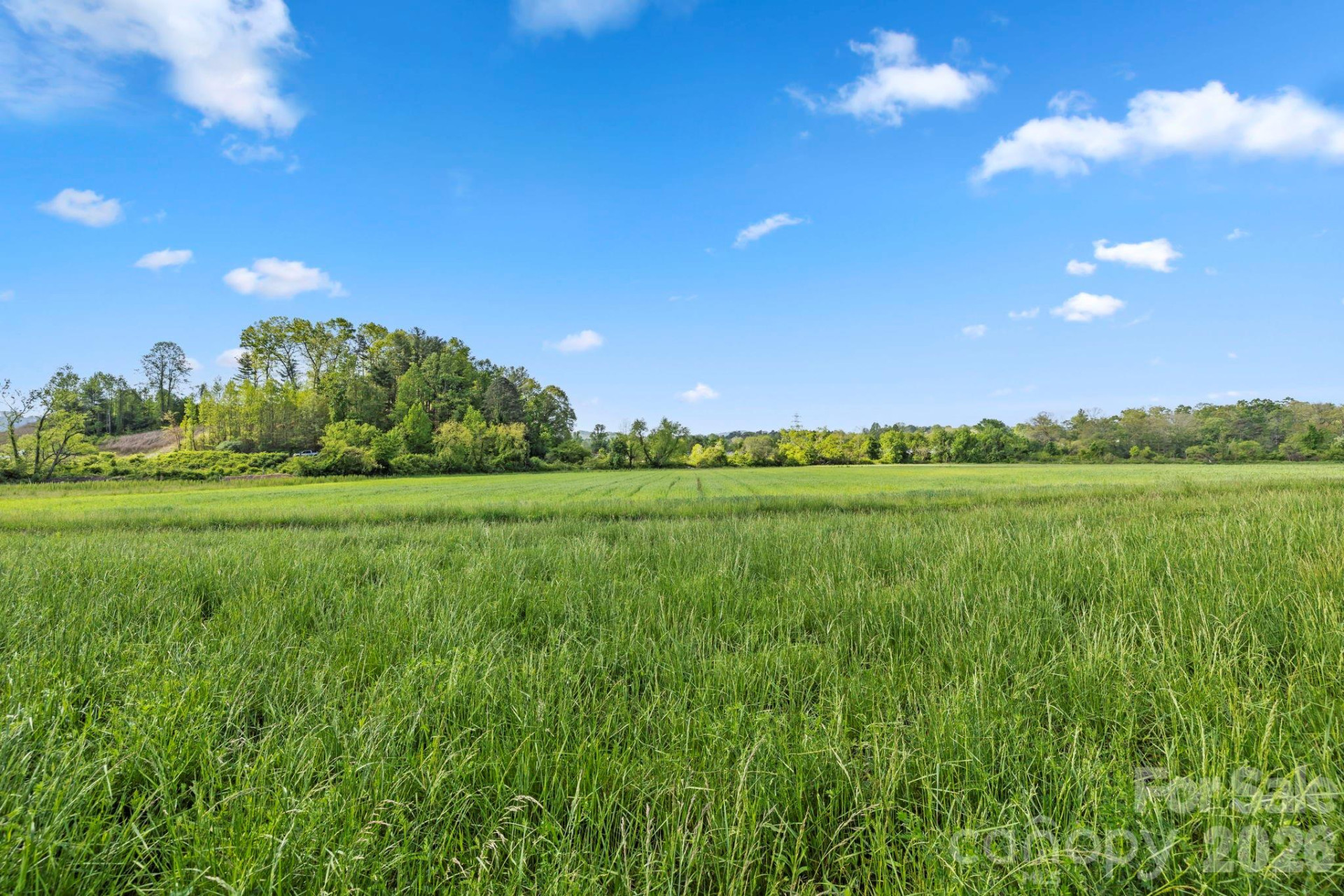 000 Upward Road - Photo 10