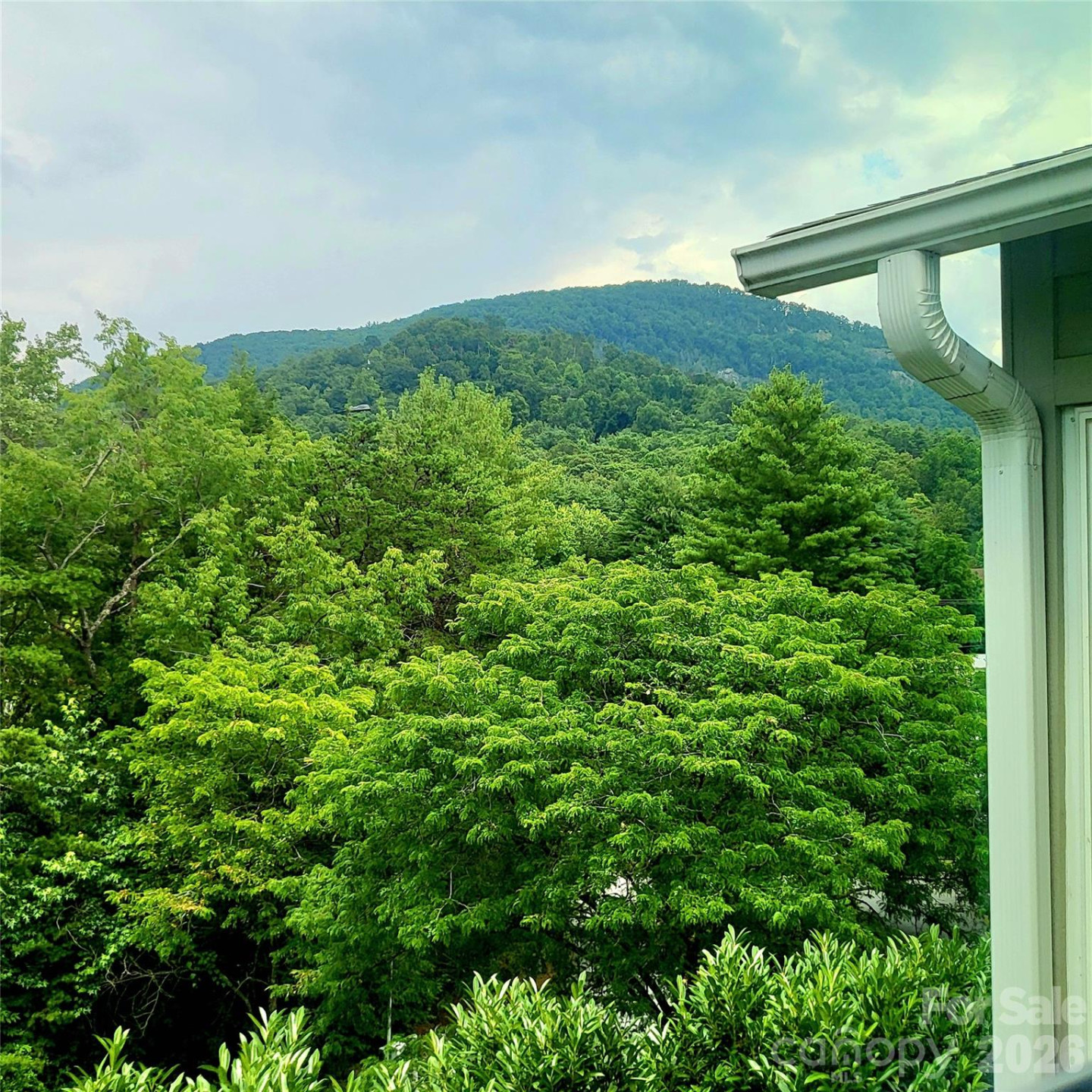 35 Cedarcliff Circle - Photo 40