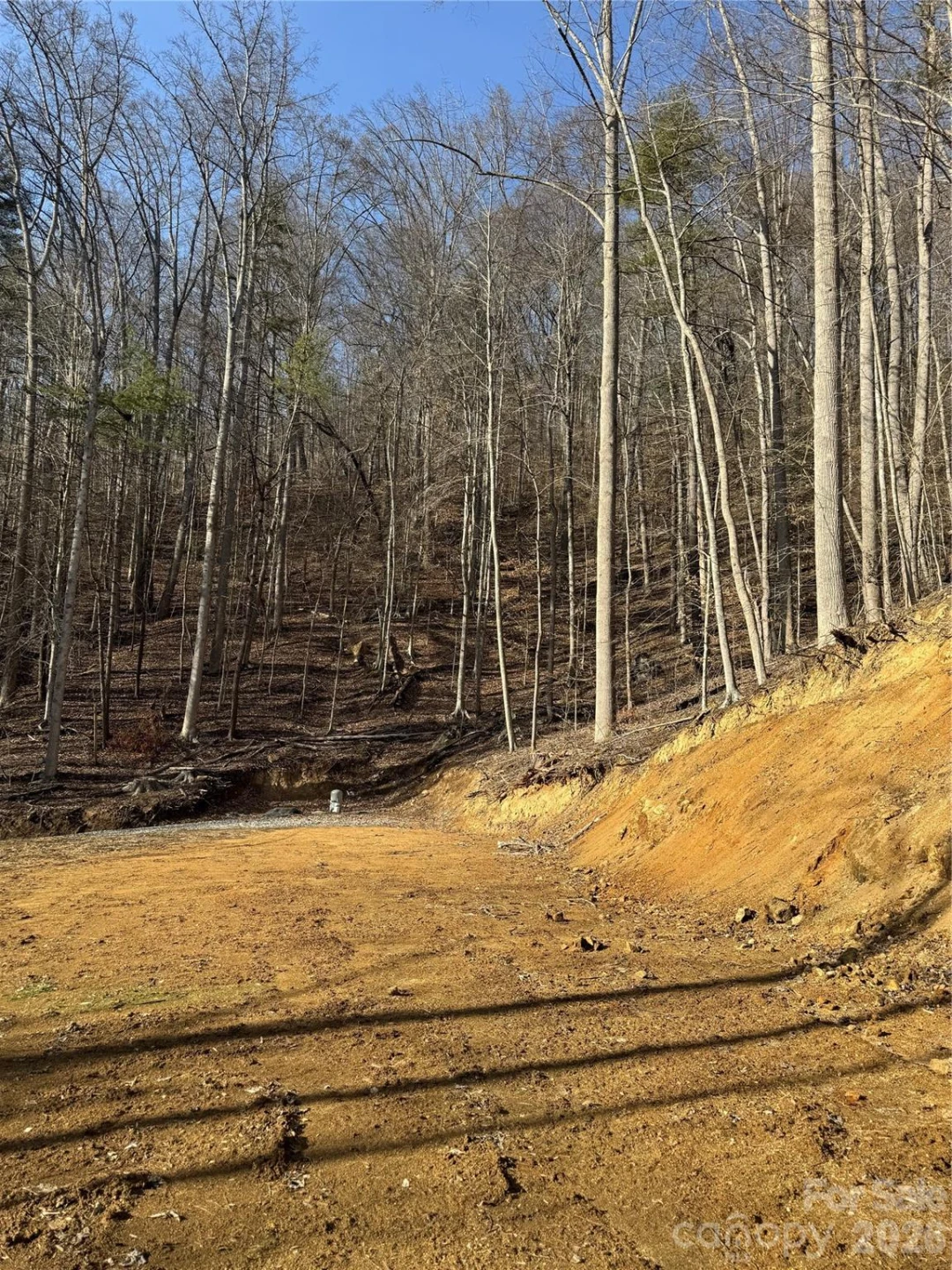890 Fisher Branch Road