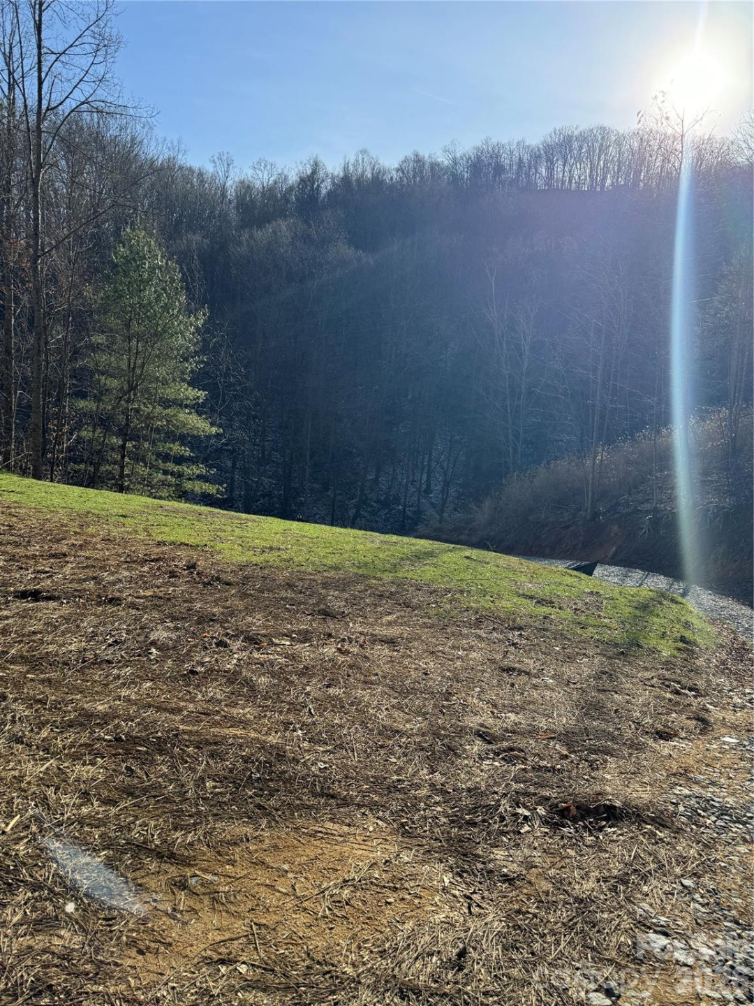 890 Fisher Branch Road - Photo 12