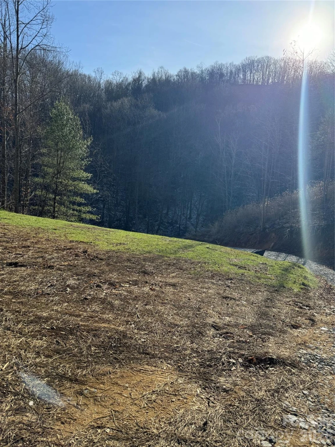 890 Fisher Branch Road - Photo 12