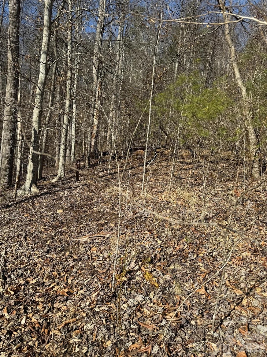 890 Fisher Branch Road - Photo 13
