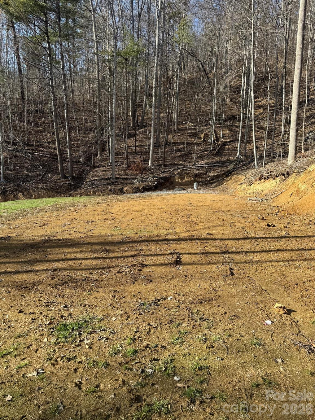 890 Fisher Branch Road - Photo 14