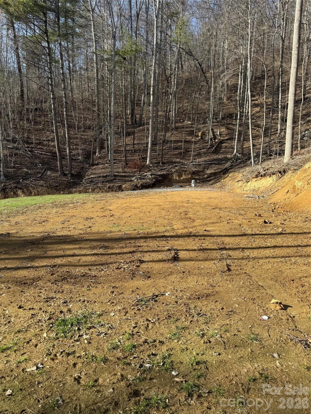 890 Fisher Branch Road - Photo 14