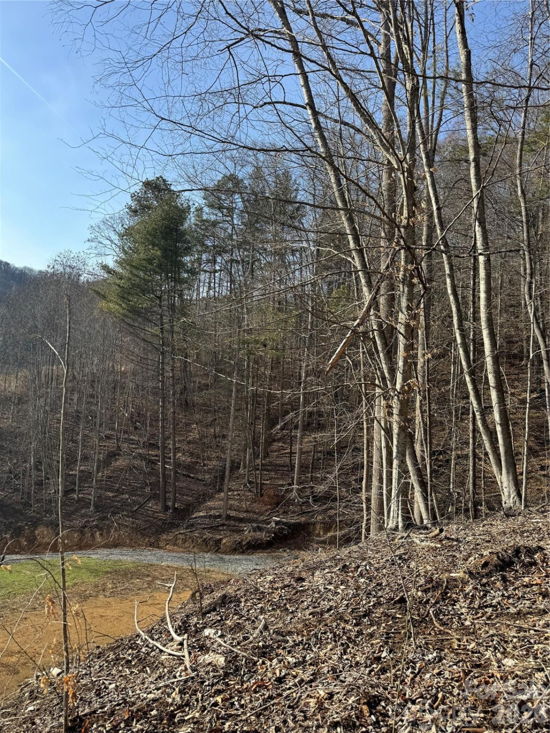 890 Fisher Branch Road - Photo 16