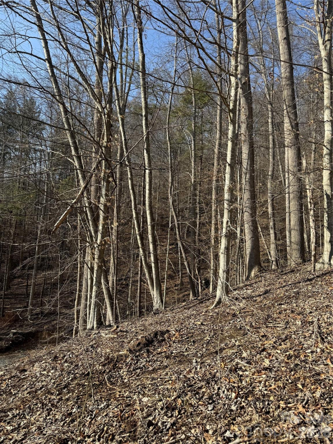 890 Fisher Branch Road - Photo 18