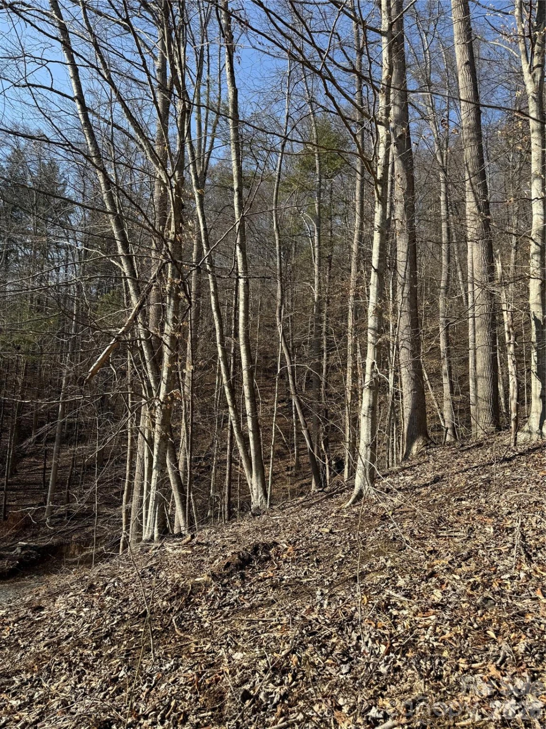 890 Fisher Branch Road - Photo 18